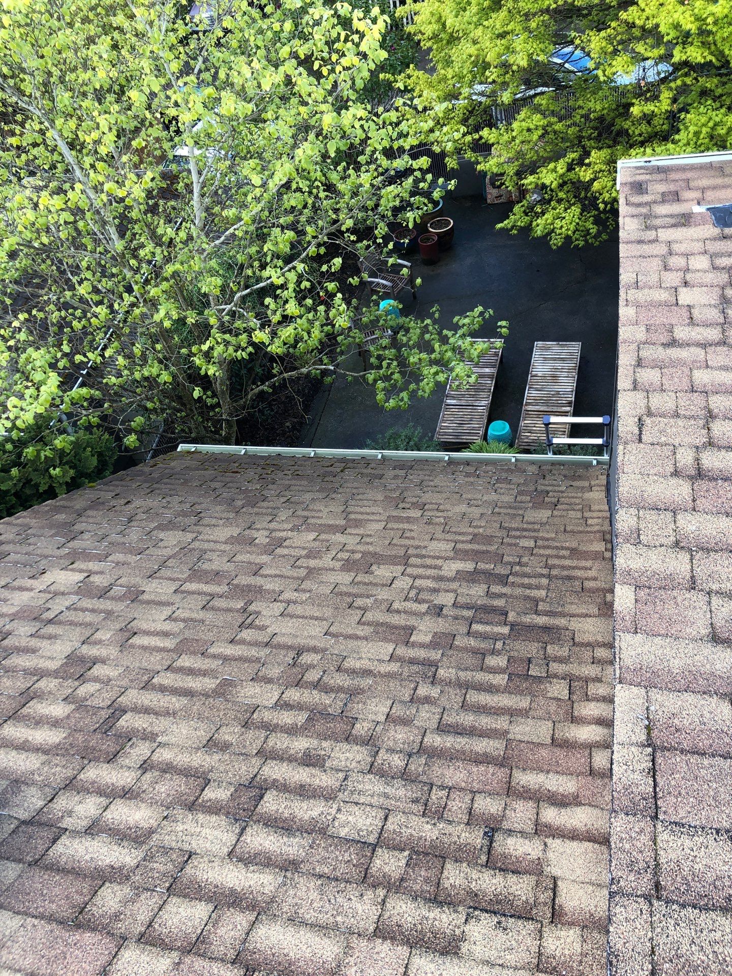 Project in Seattle by Peaks and Valleys Construction