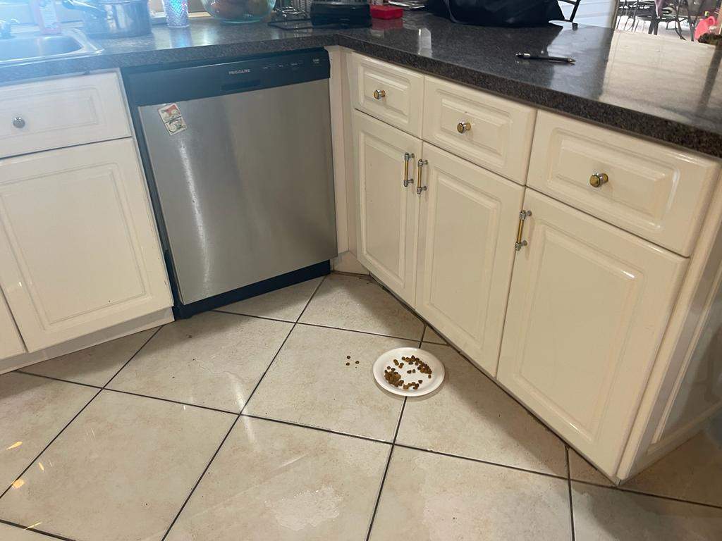 Water Damage Claim in Hialeah by FLAPA & KeyStone