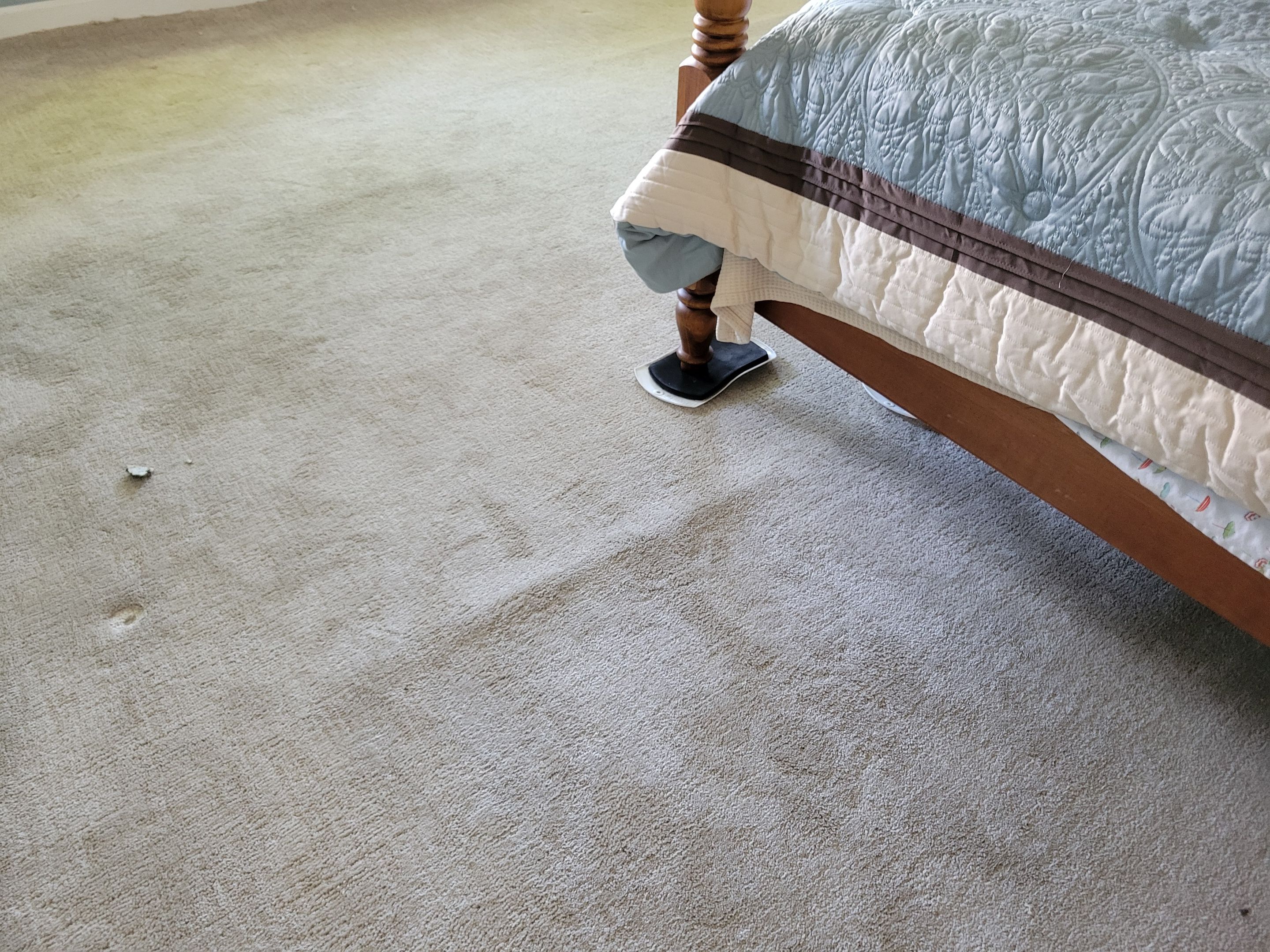 El Dorado Hills Carpet Re-stretch & Cleaning by Ardent Carpet Restore LLC