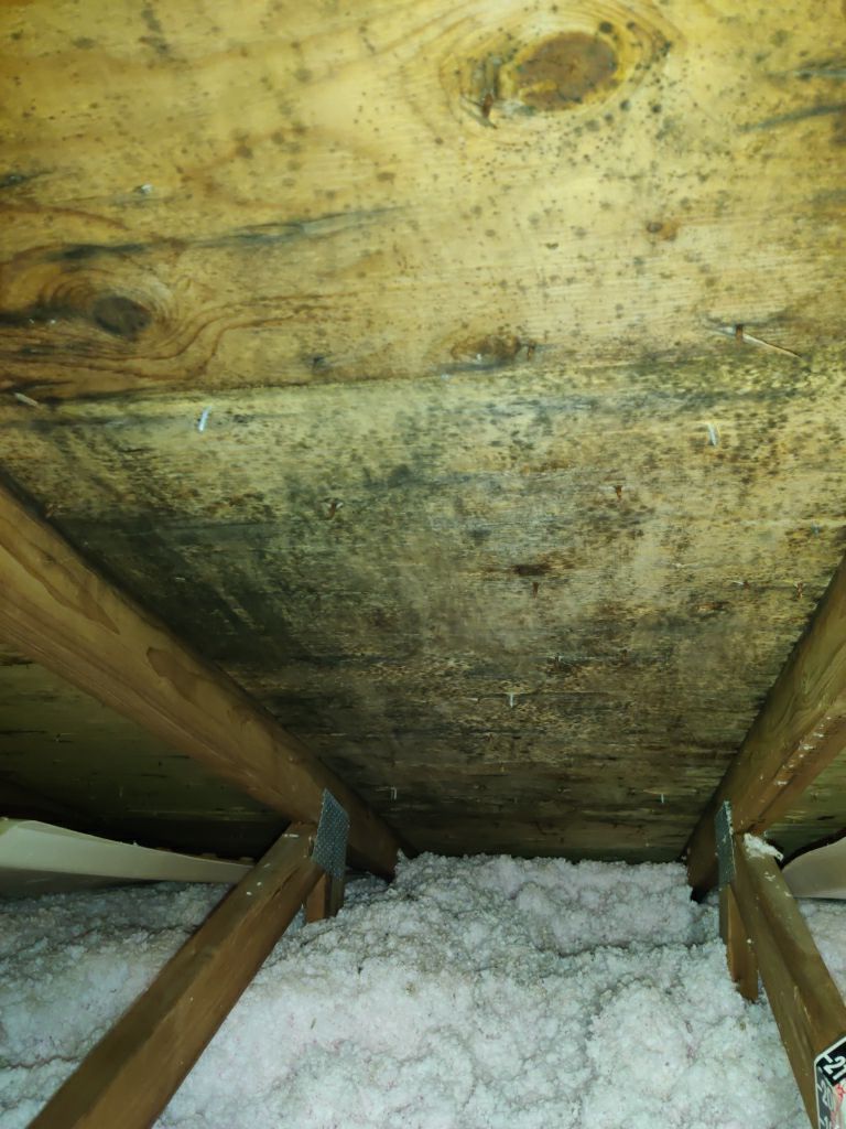 Mold Remediation in Attic by Accountable Home Services