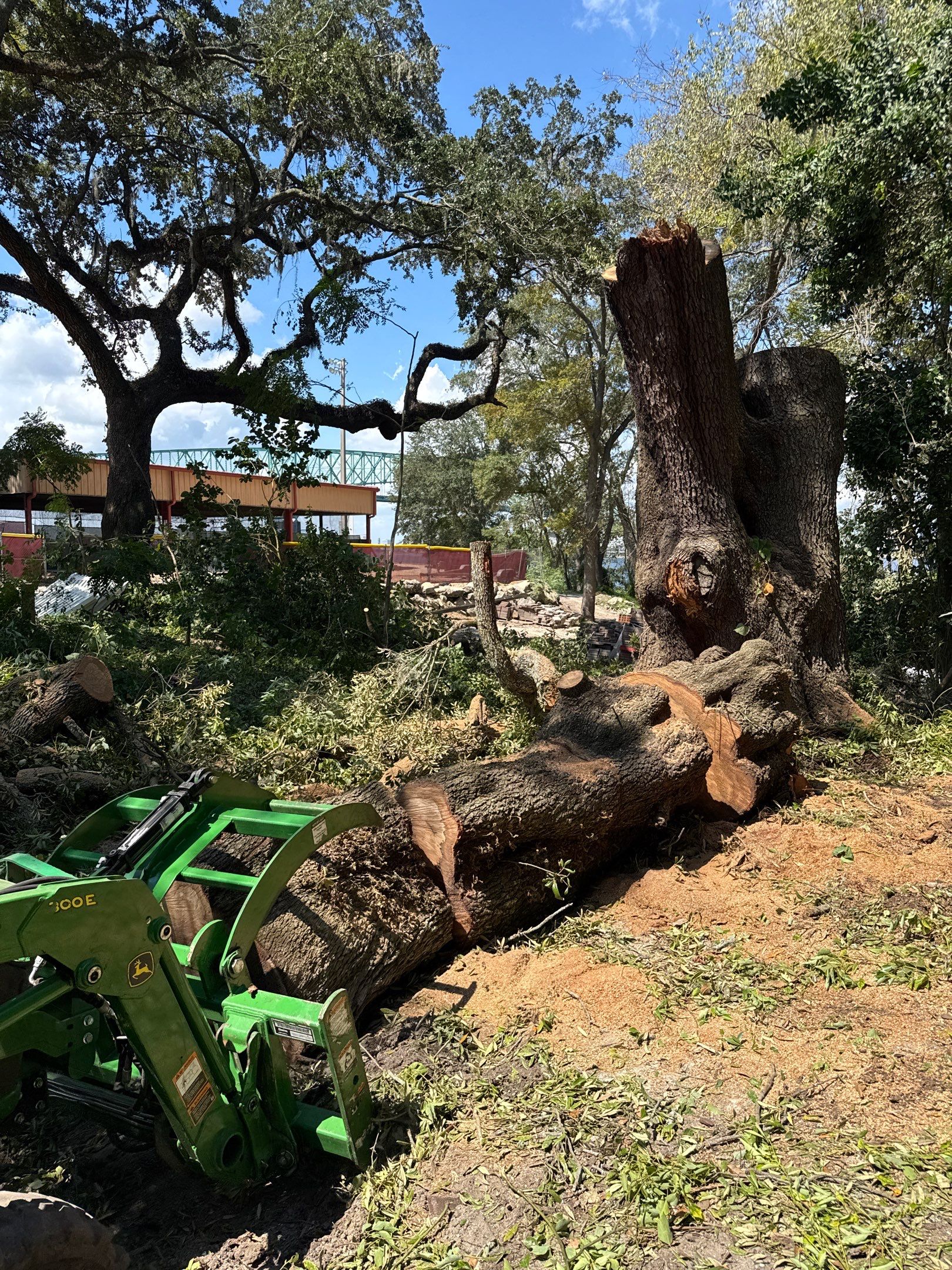 Tree Removal | Episcopal Softball Field by ProGreen Services