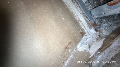 Sewage Backup Cleanup — Marco Island, FL
