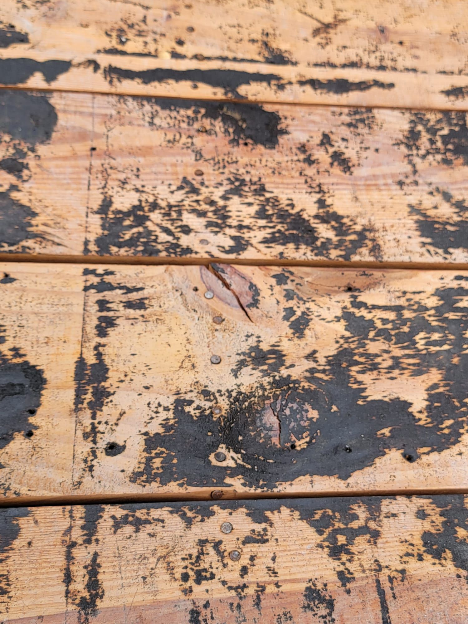 Project in St. Petersburg 33714 by Mitchell Roofing Company LLC 