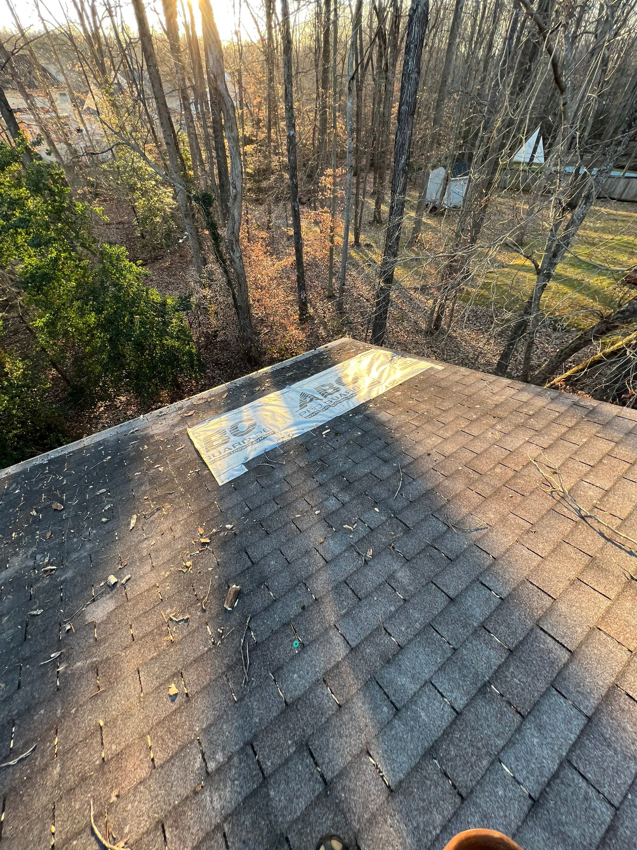 Manassas: CertainTeed Landmark Designer Shingles in Charcoal Black by RM Banning, Inc.