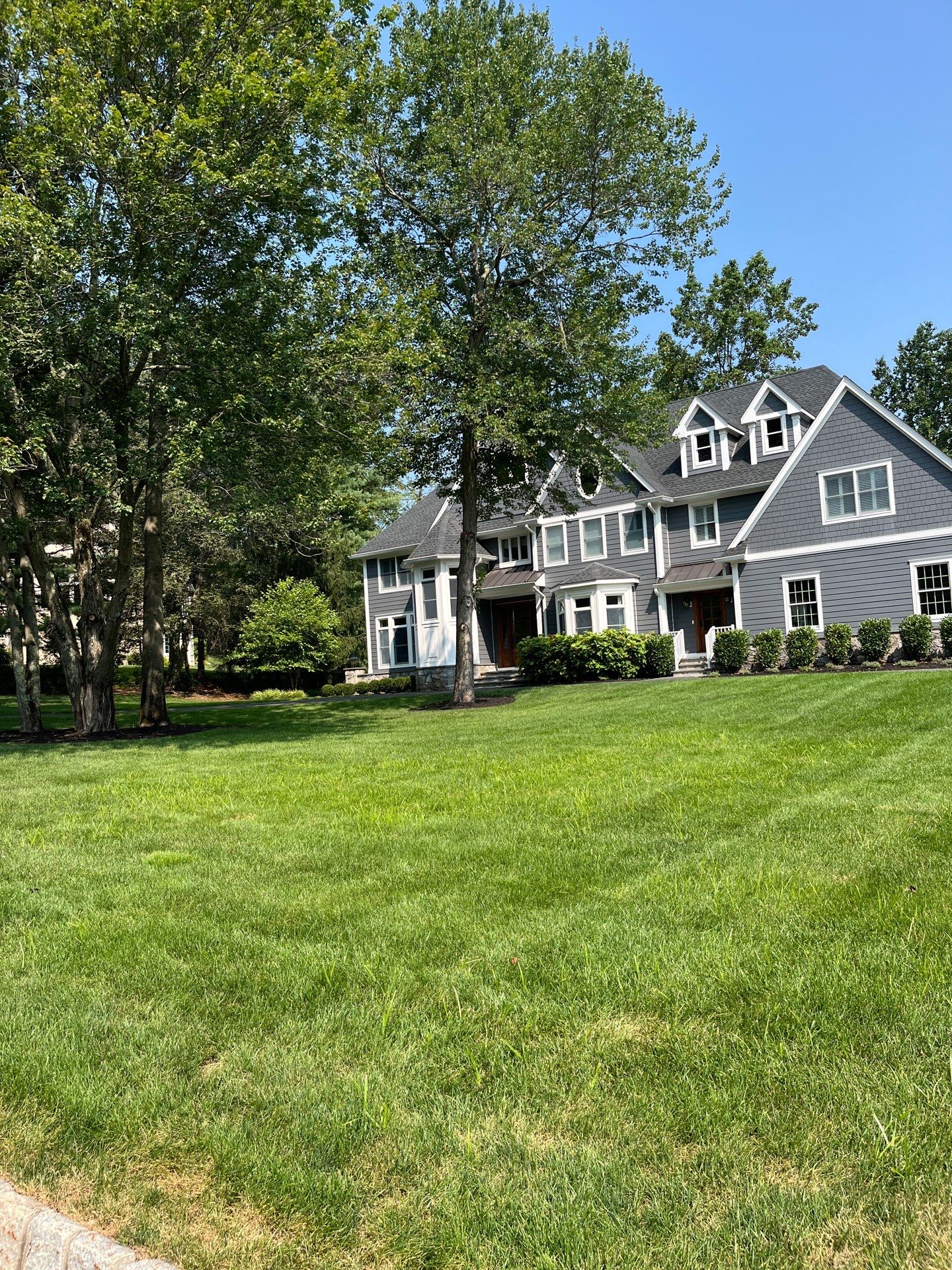 Comprehensive Lawn Care in Warren by Ants Plants