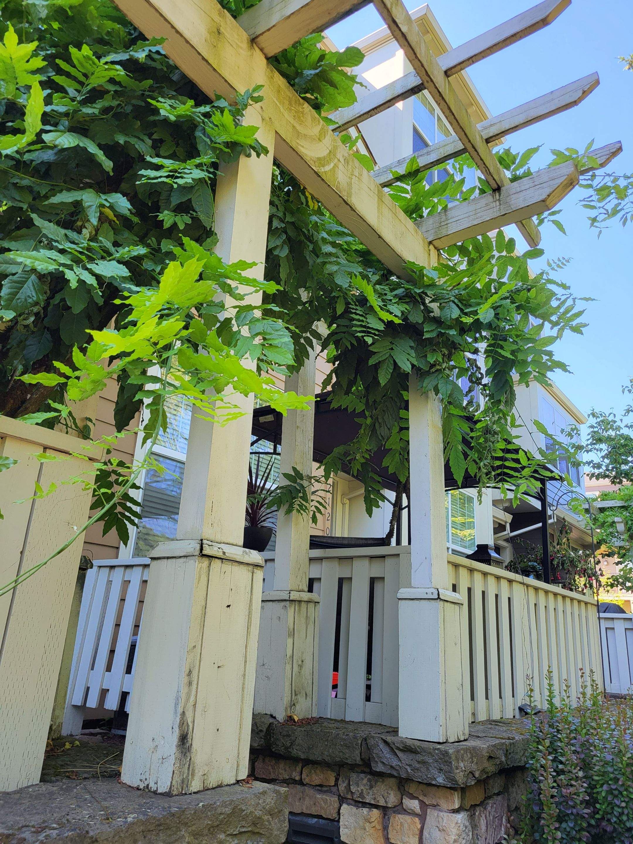 Pergola and Fencing Structural Reinforcement in Happy Valley by American Made Construction