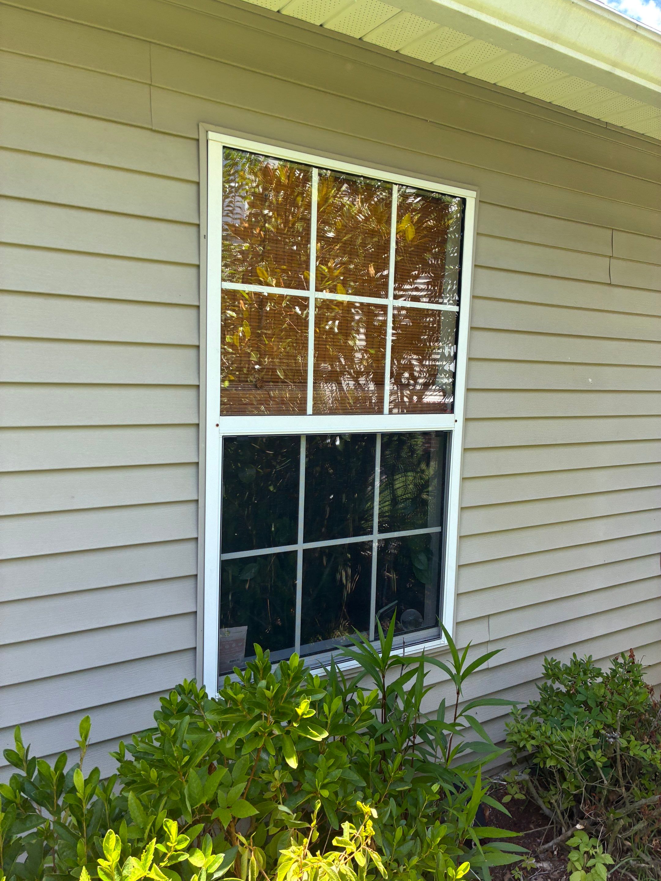 White Vinyl Window Replacement and Exterior Siding Refresh in Summerville by Top Tier Charleston