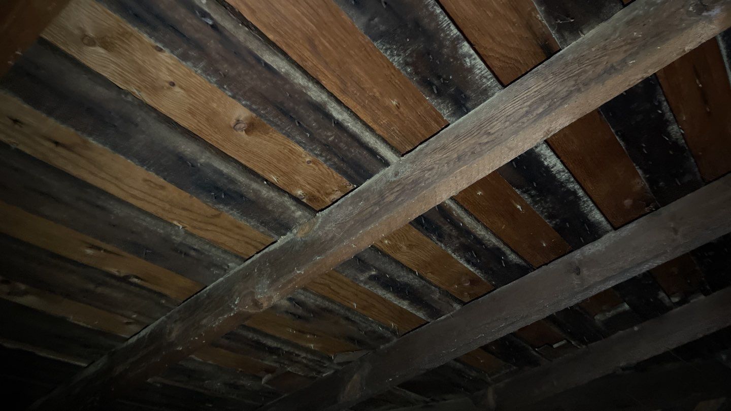 Barnaby Ofori by Constructive Project Management