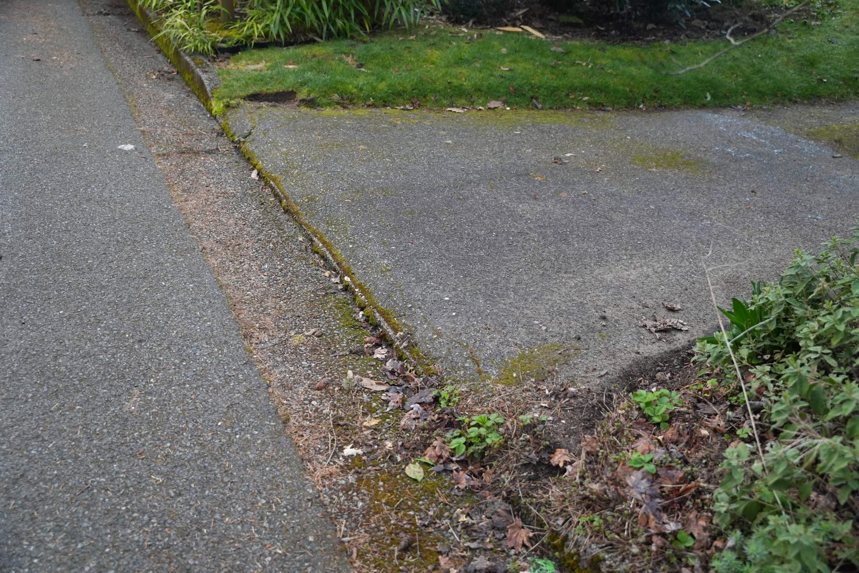 Pavers Driveway & Walkway with Concrete Lip | Seattle  by Jireh Asphalt & Concrete Inc 