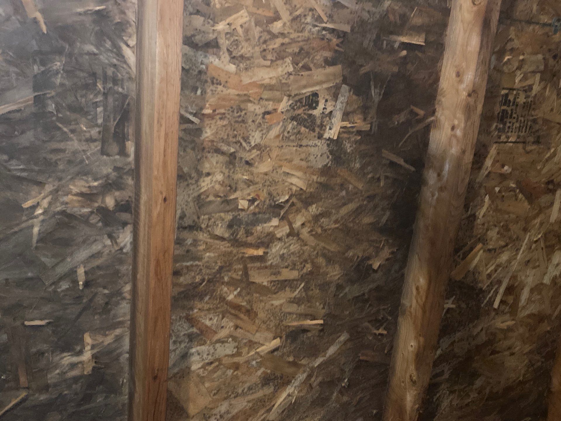 Remediate attic mold Mars Pa by Home Environment Solutions