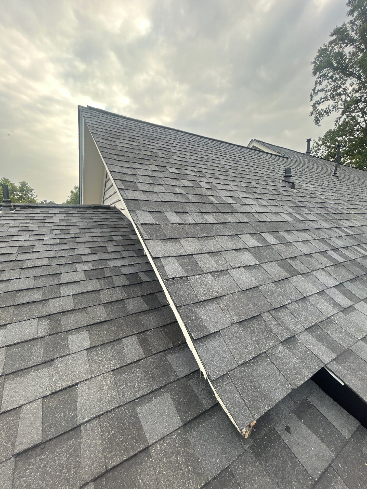 Great Falls : residential Roof with CertainTeed Landmark Pro in Max Def Moire Black  by RM Banning, Inc.