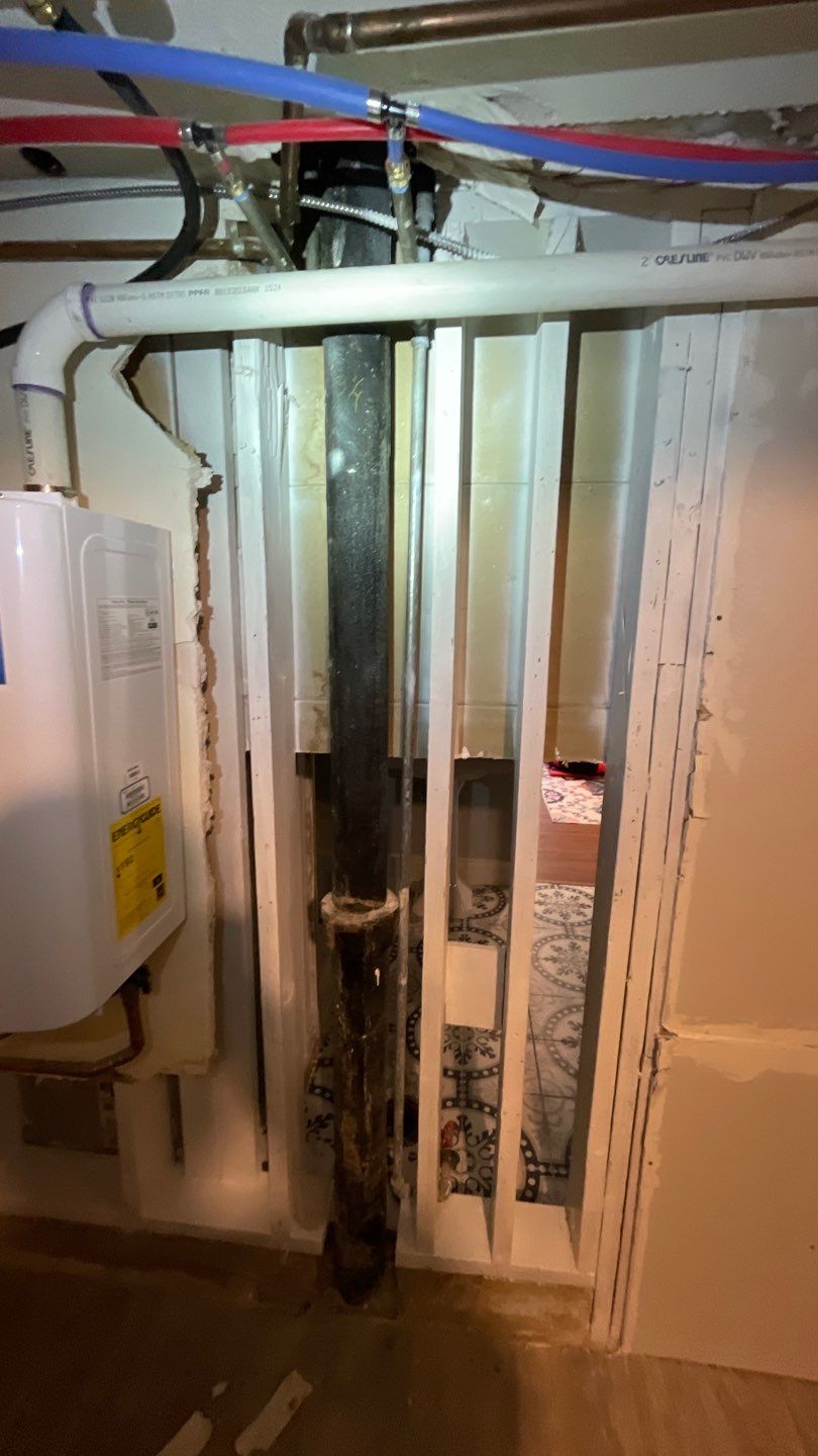 Mold Remediation by Accountable Home Services