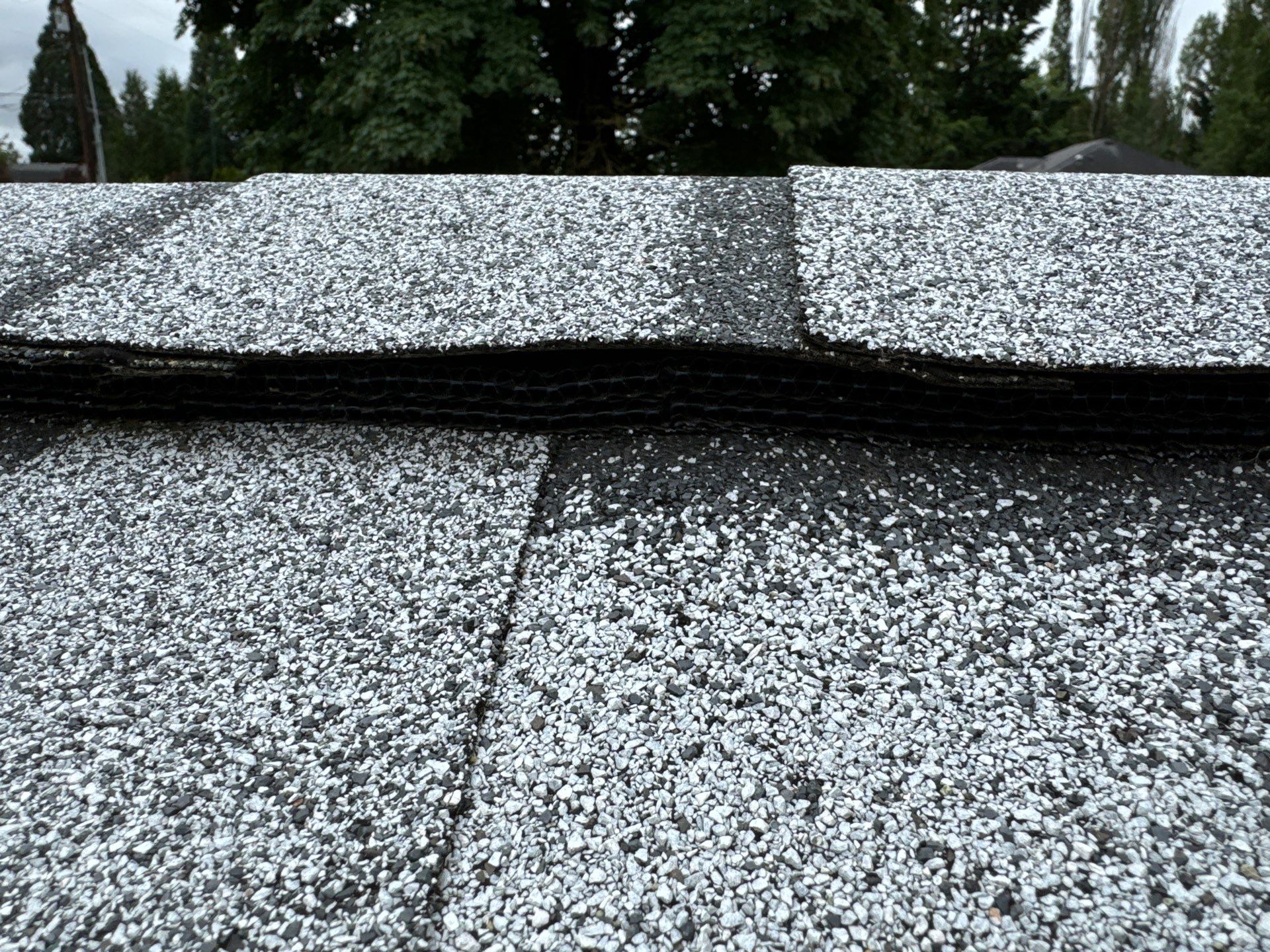 Project in Covington by Connolly Construction Company