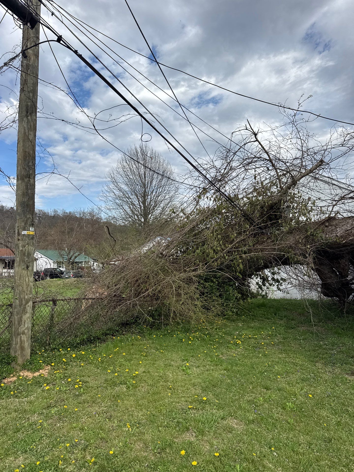 Project in Nitro, WV 	Rotator Crane Lifts Tree Off House | Nitro WV 	•	One Wrong Move Job | Rotator Crane Tree Removal 	•	Heavy Rescue Tree Job | Nitro WV 	•	Extreme Tree Removal Over Home | Nitro WV by Jones Empire LLC