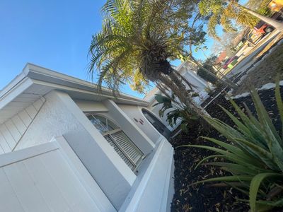 White K Style Seamless Gutters using Aluminum Seamless gutters Downspout Extension Palm Harbor FL