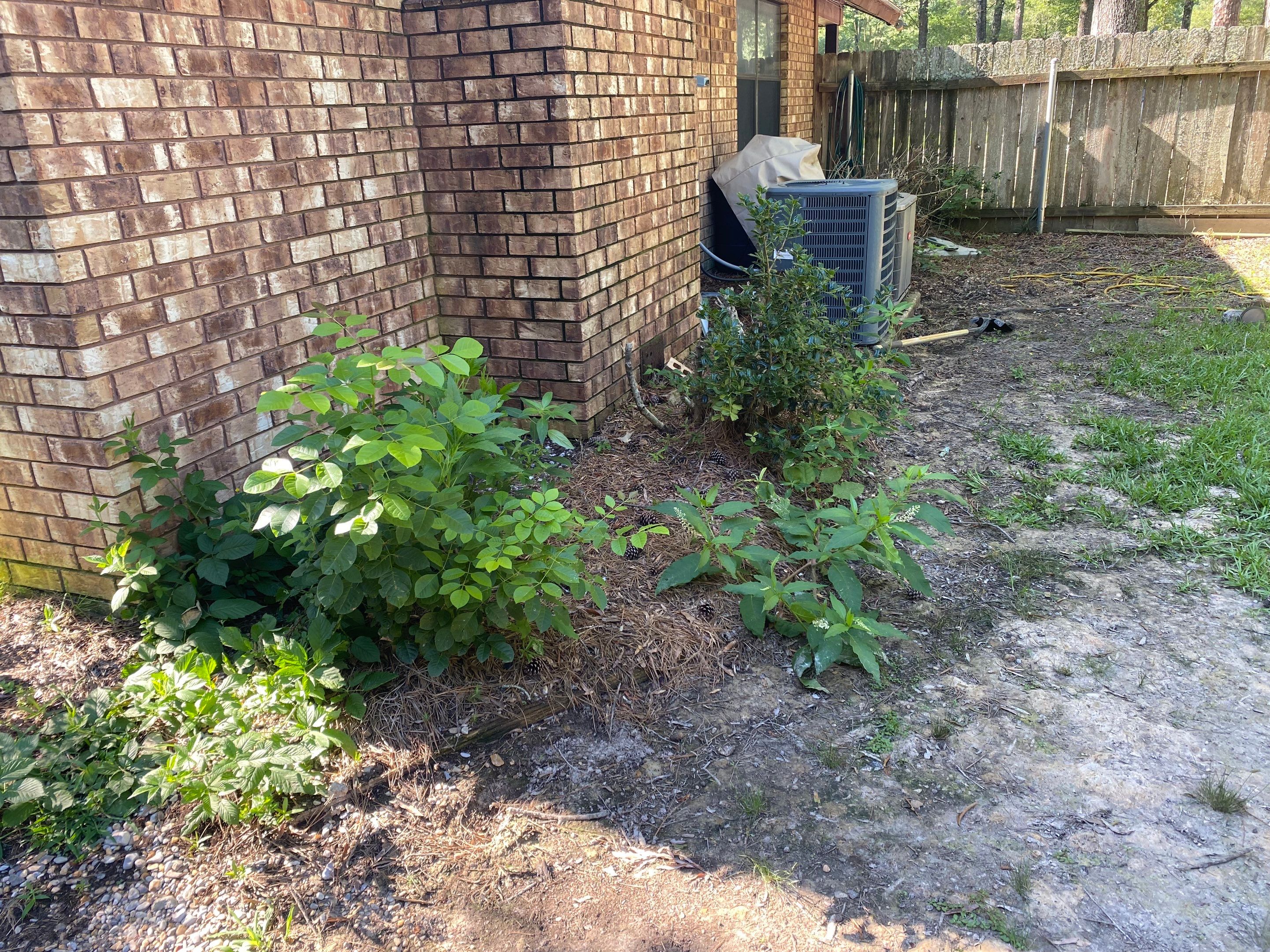 Weekly Landscaping  by College Bros Outdoor services