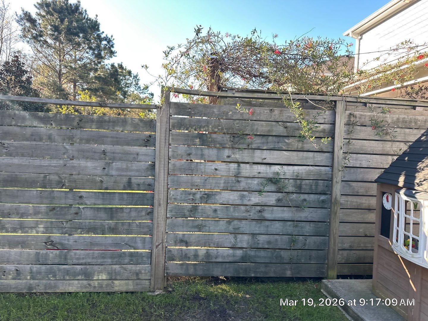 Fence using Wood Sealant by DuraSeal