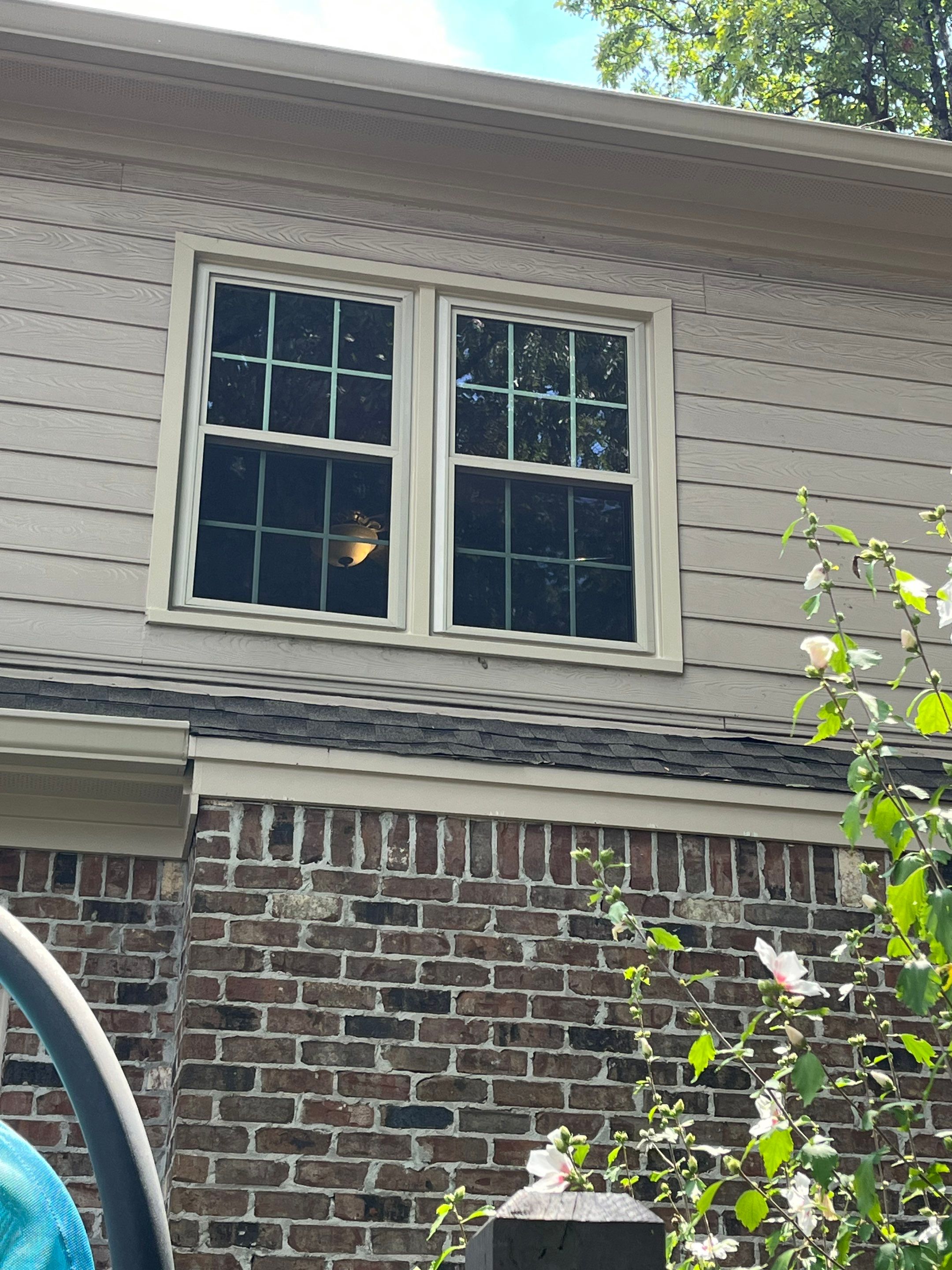 Dew Project in Hoover by The Window Source