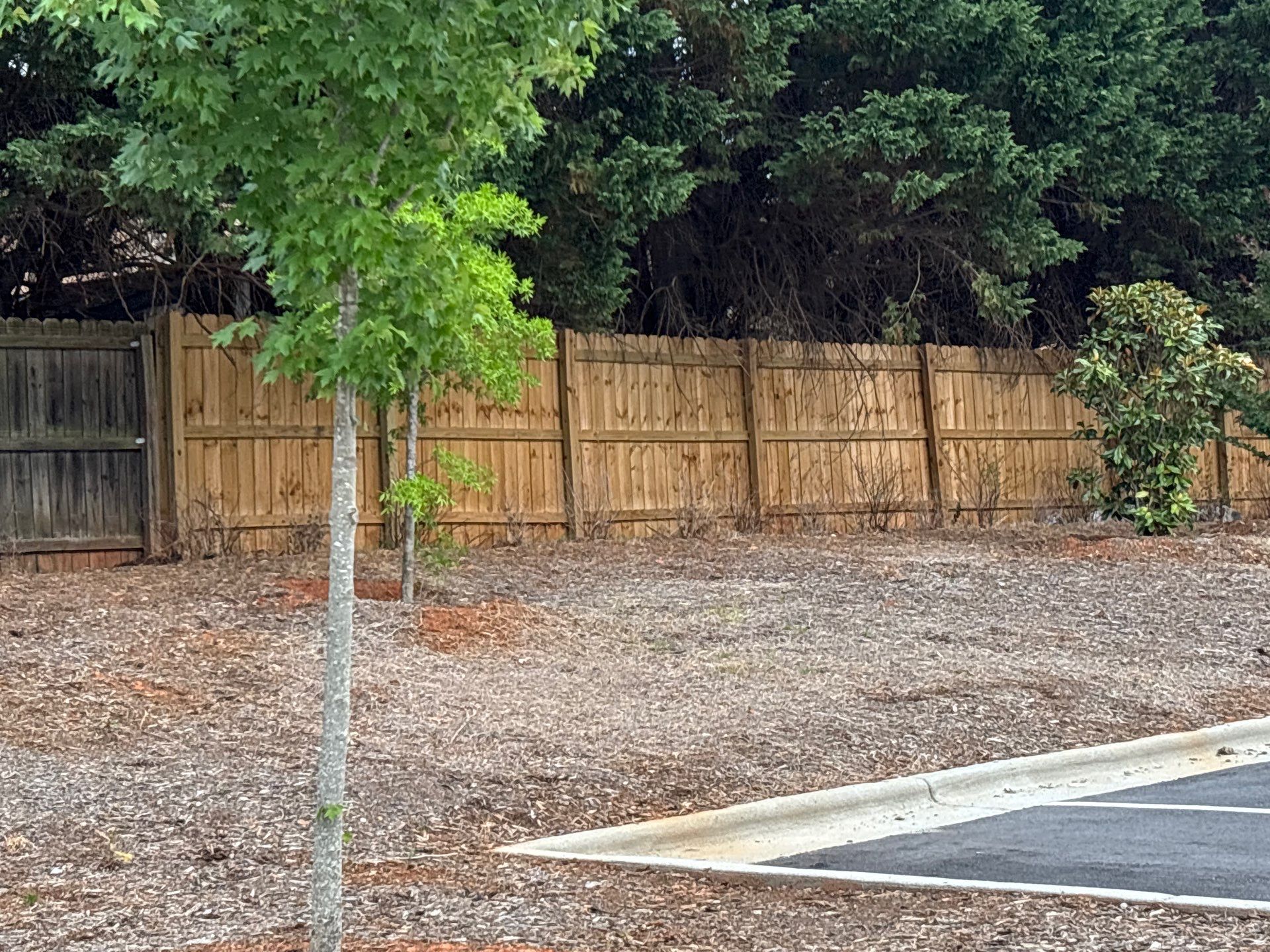 Fence using Wood Sealant by DuraSeal