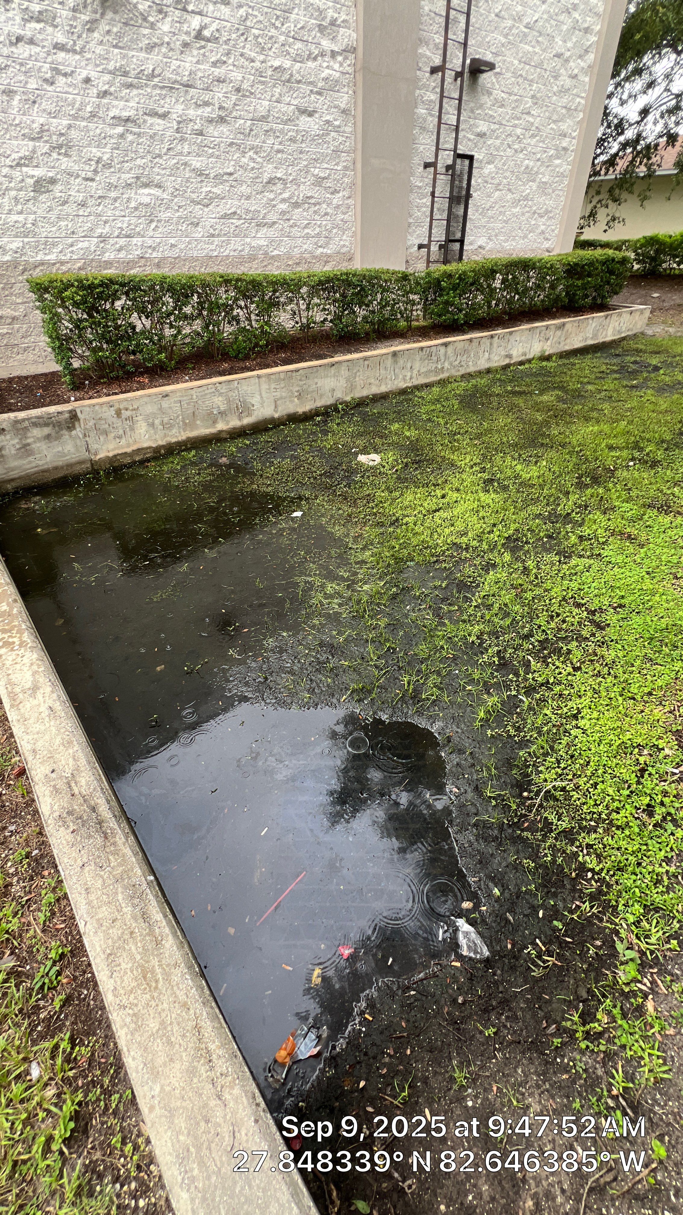 St. Petersburg 7-Eleven Stormwater System Cleaning by Don Mar, Inc. Storm Water Solutions