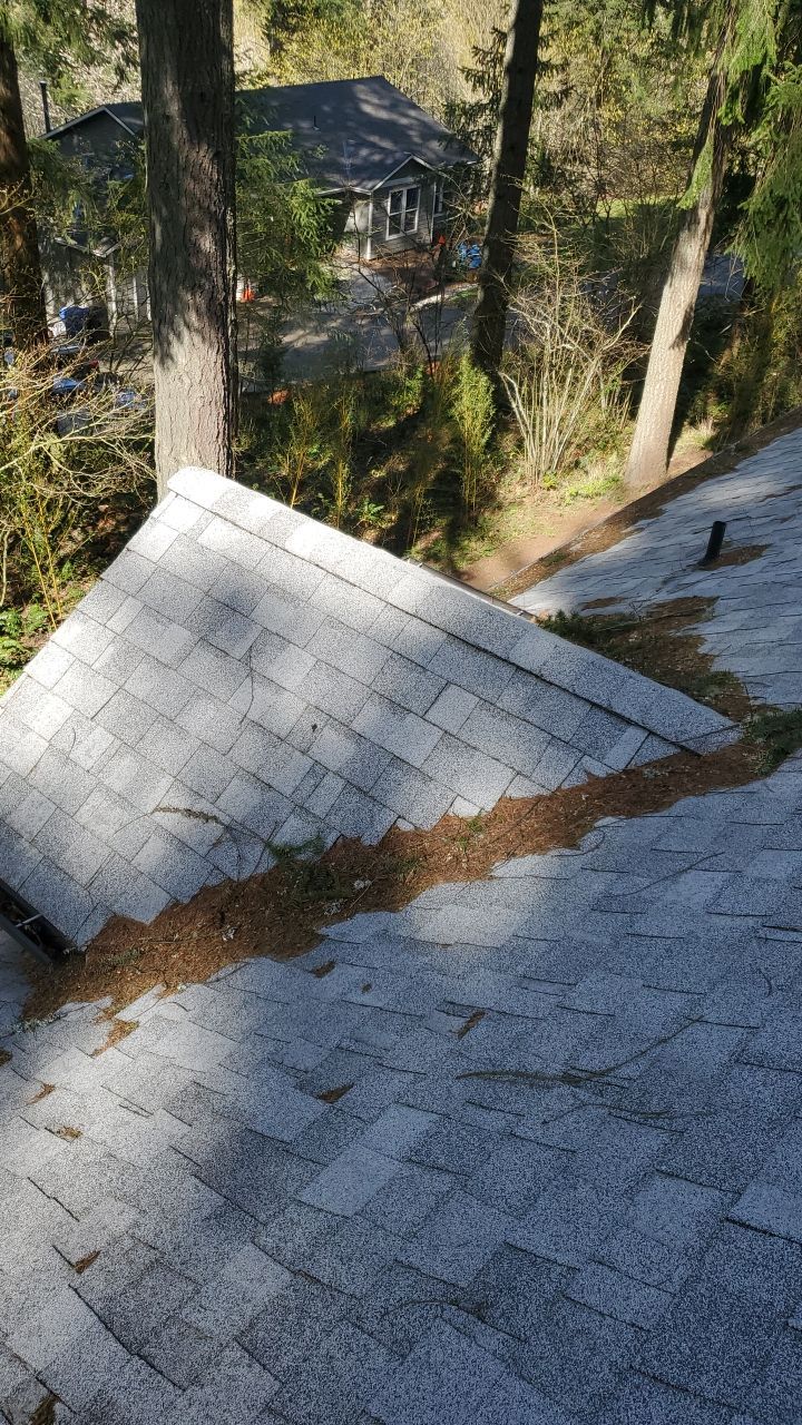 Roof Treatment using Surfactant and Biocide by Willamette Outdoor Wash LLC