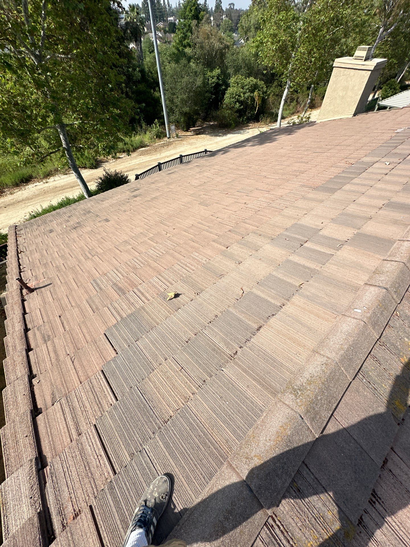 Orange County Roof Washing in Lake Forest by Property Cleaning Experts