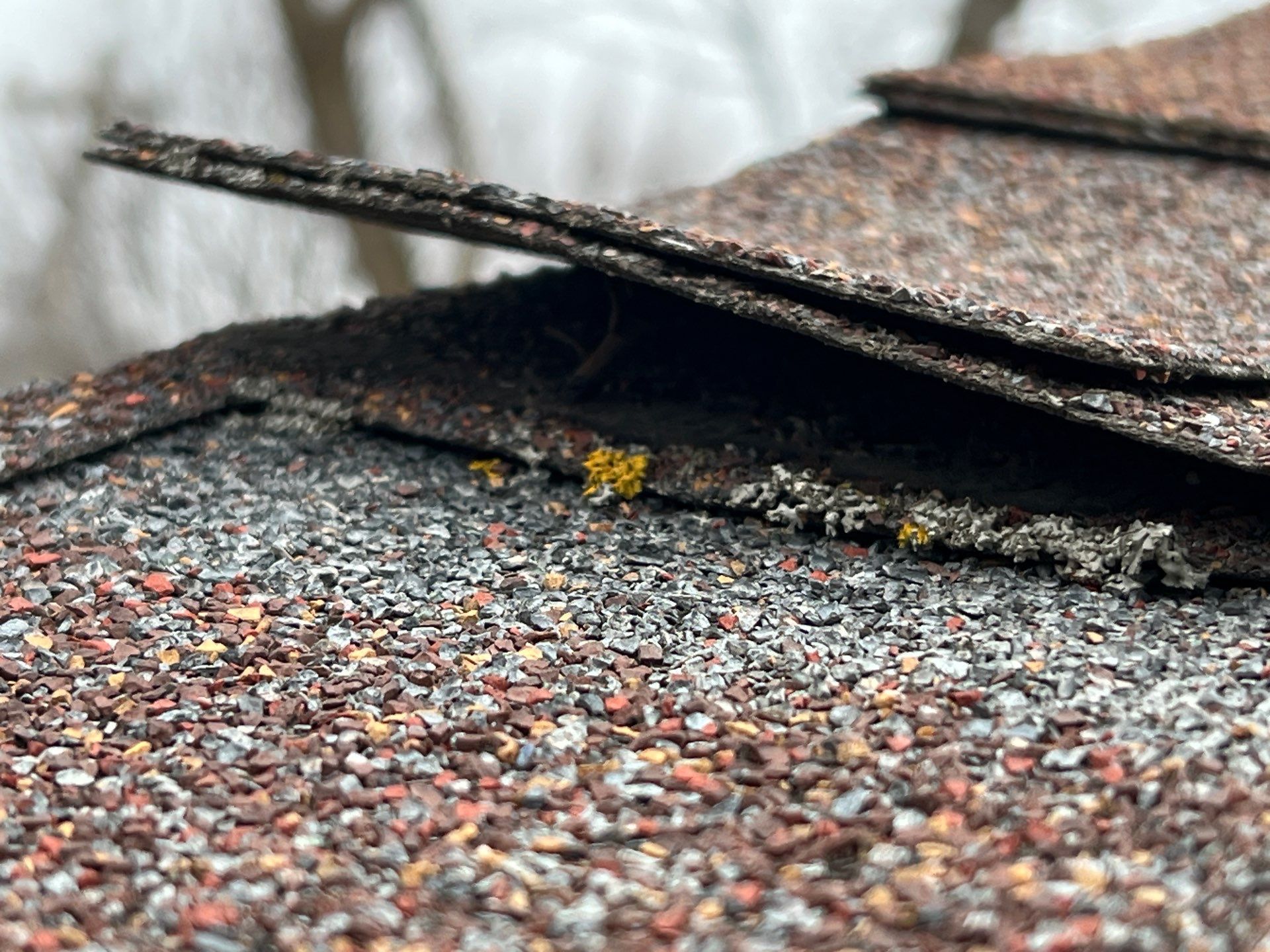 Roof Restoration in Alpha, MN by Servicing SW Minnesota & NW Iowa