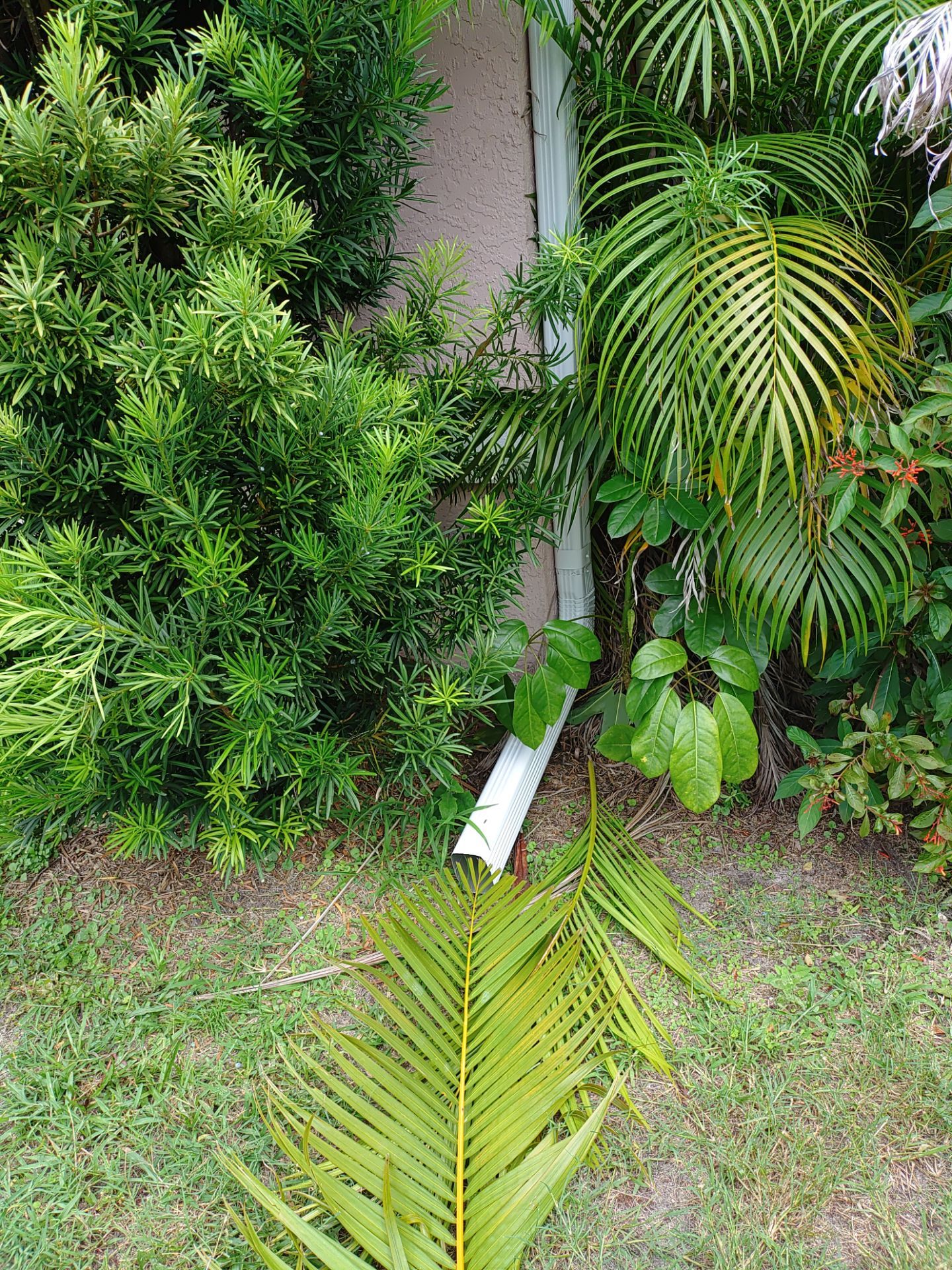 Replace gutter using White Down Spouts in Cape Coral FL by Gutter Professors