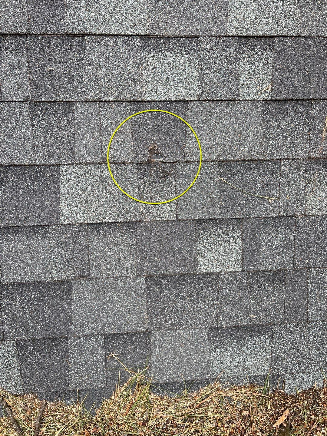 Green Snap Lock Standing Seam  by Montana Roofing Solutions