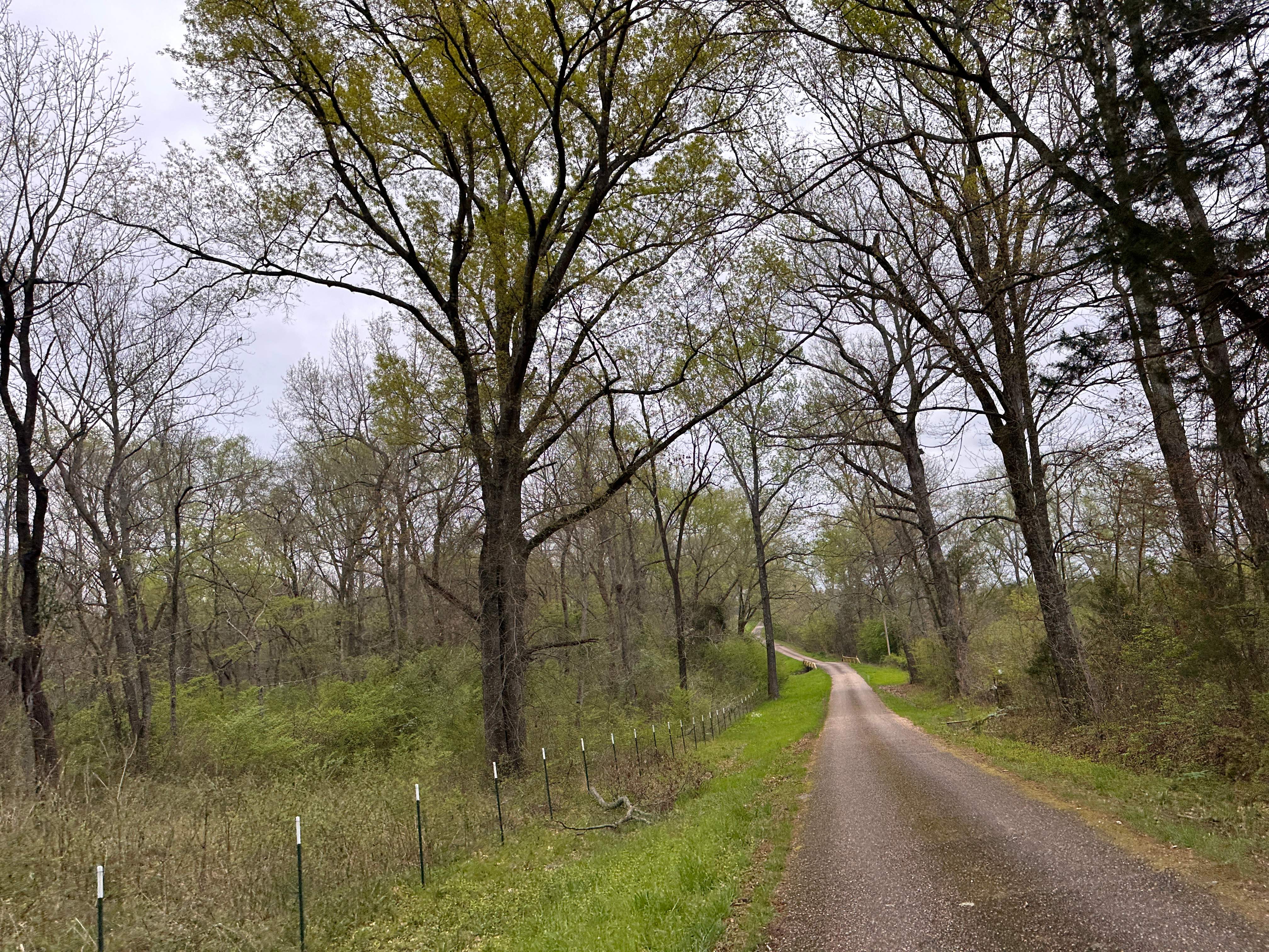Tree Farm Apiary by Rockwall Honey Bee Company