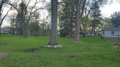 Tree Removal using Tree Removal