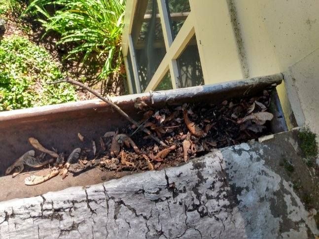 Slate Roof Repair & Gutter Cleaning in Roland Park by Roof Right Inc