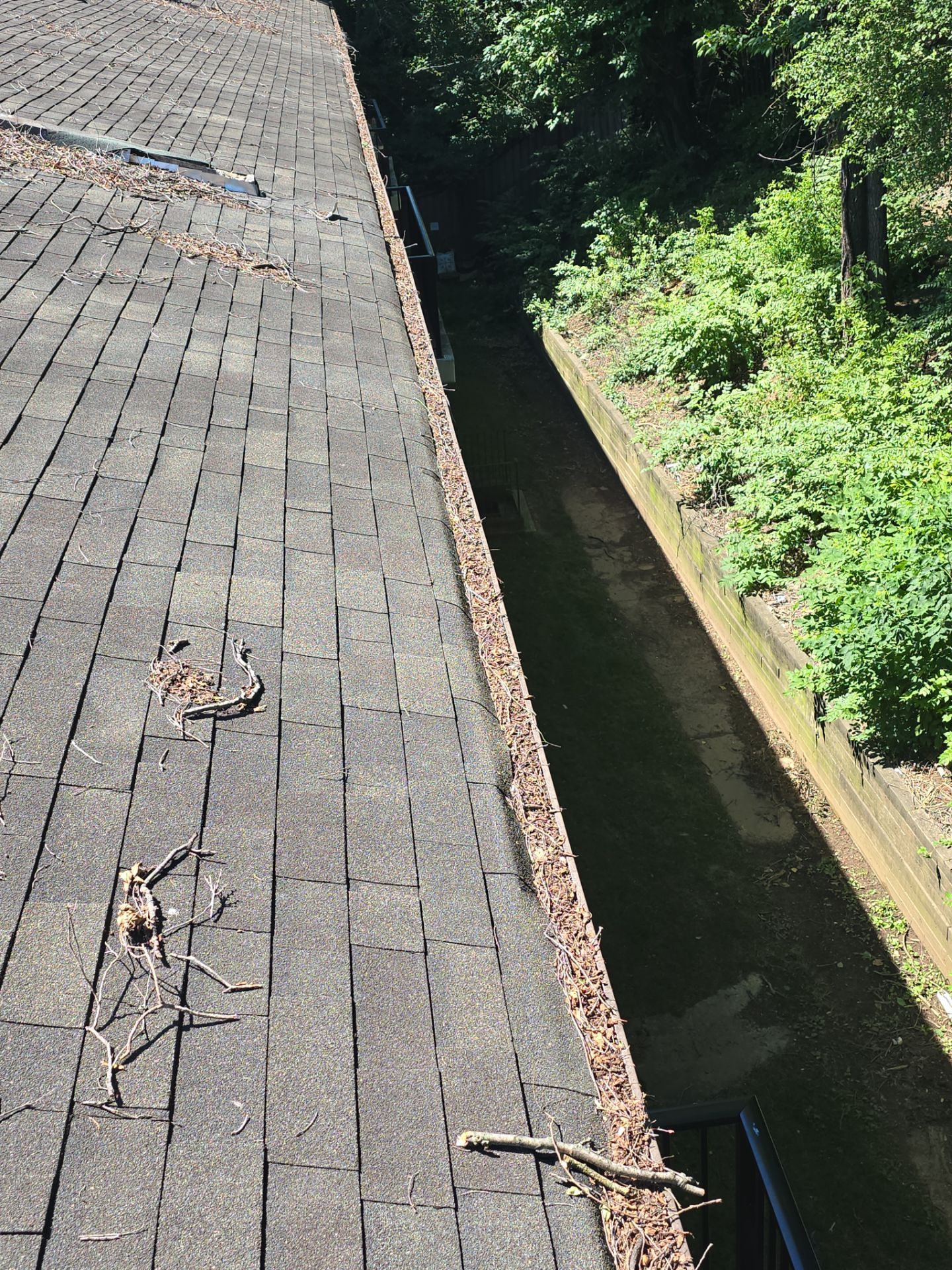 Commercial gutter cleaning Wilmington before photo with filled gutters