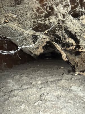 HVAC Duct Cleaning and Debris Extraction 