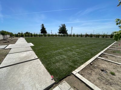 Project in Lodi