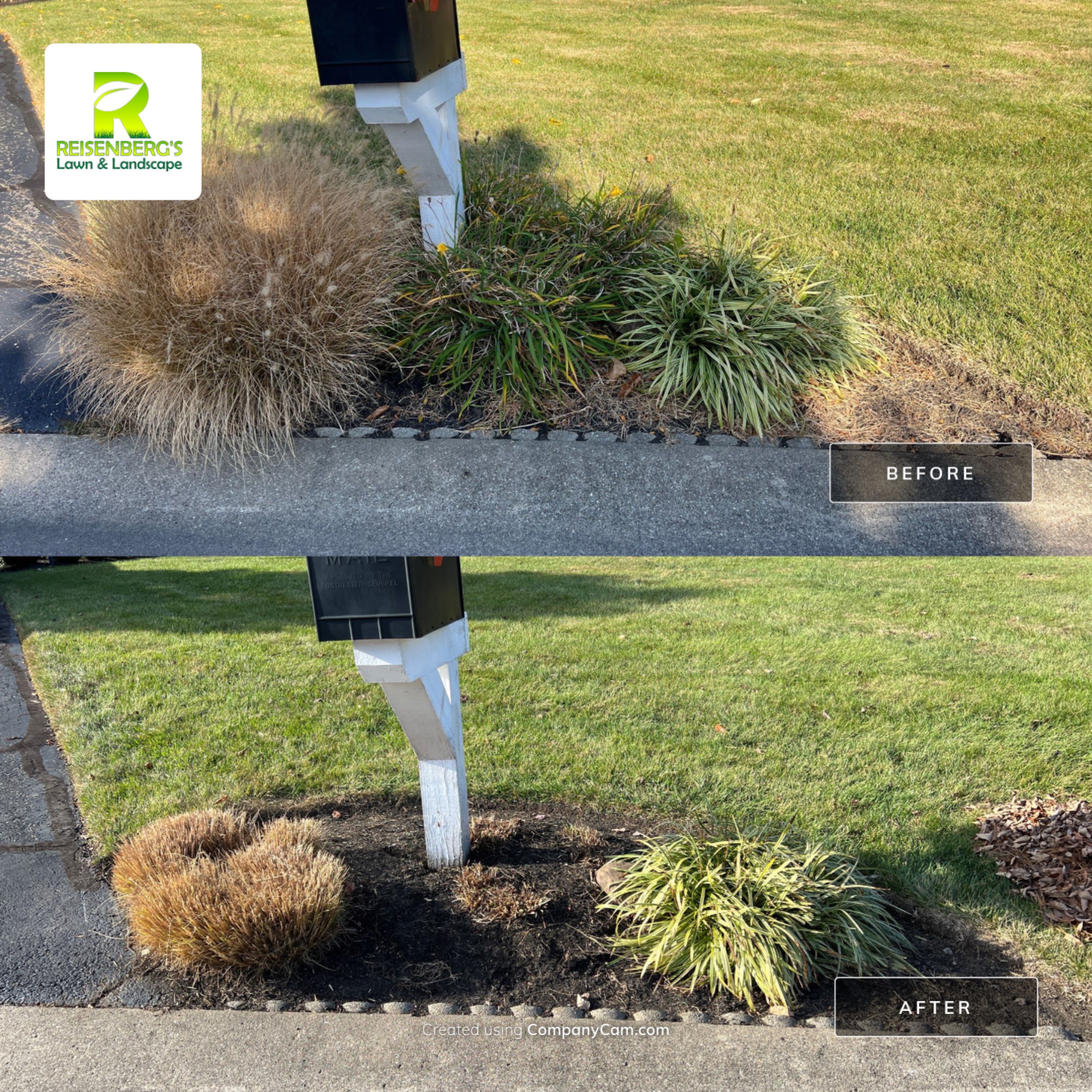 Fall Clean Up & Prune by Reisenberg’s Lawn & Landscape, LLC