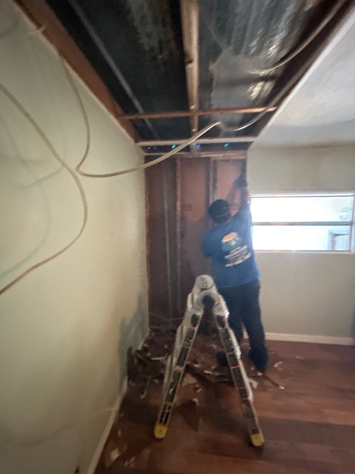 Mold Remediation Palmetto by Ampm Restoration Services 