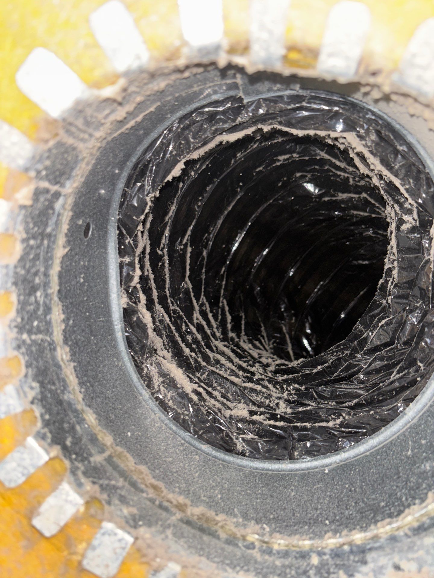 Air Duct Cleaning in Windermere by Hygienic Air, Inc