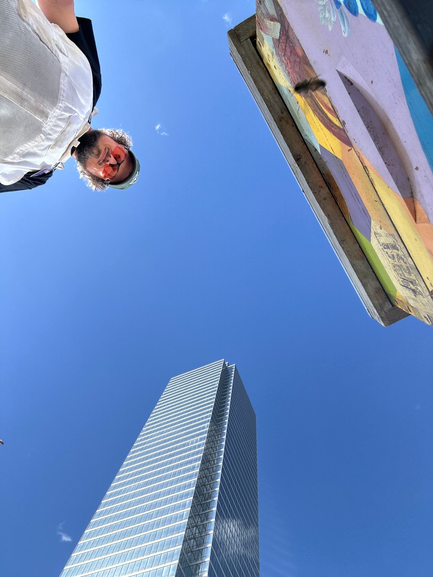 Downtown Dallas by Rockwall Honey Bee Company