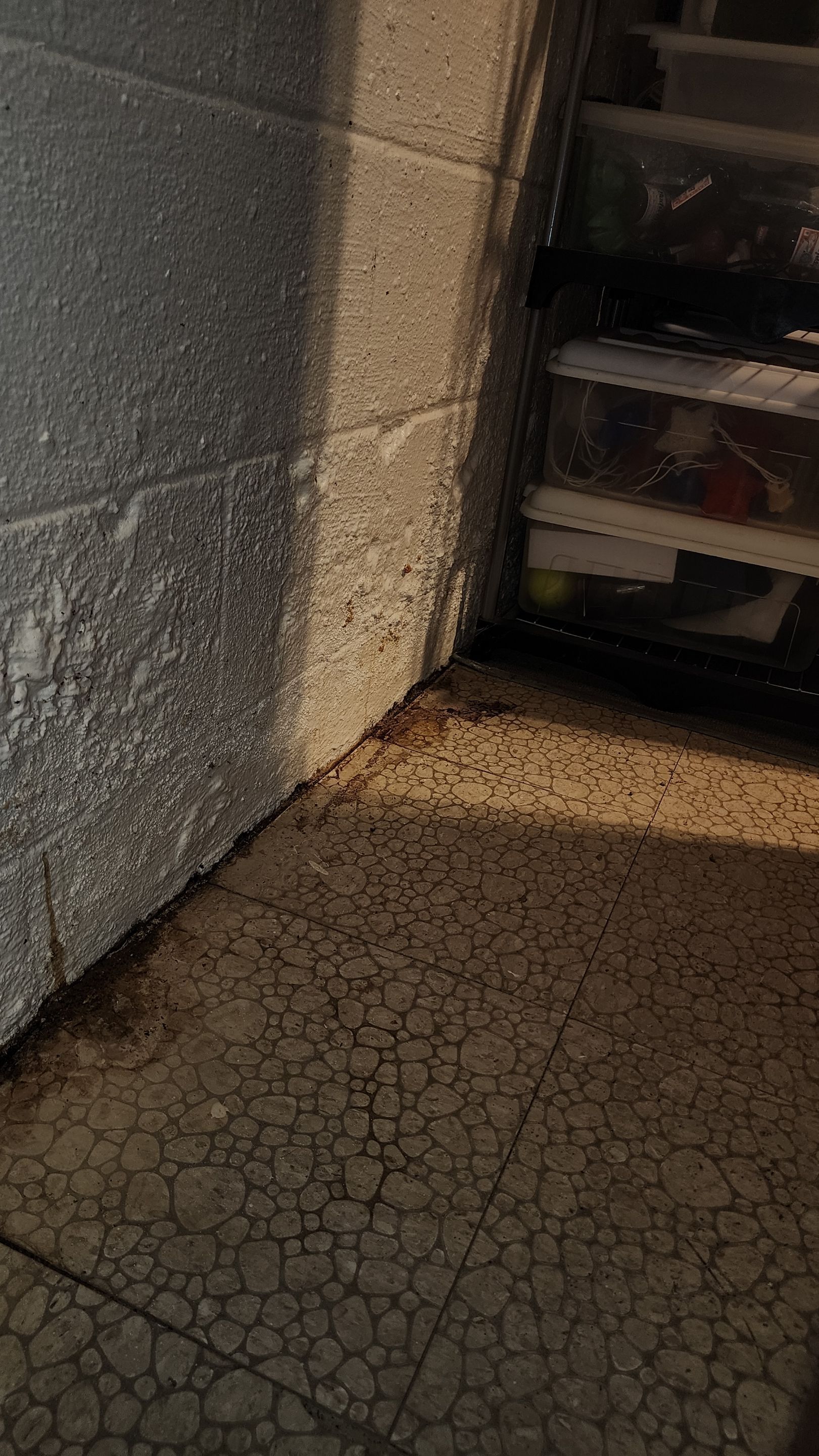 Interior Waterproofing Using GrateDrain™ Products by Toledo Basement Repair 