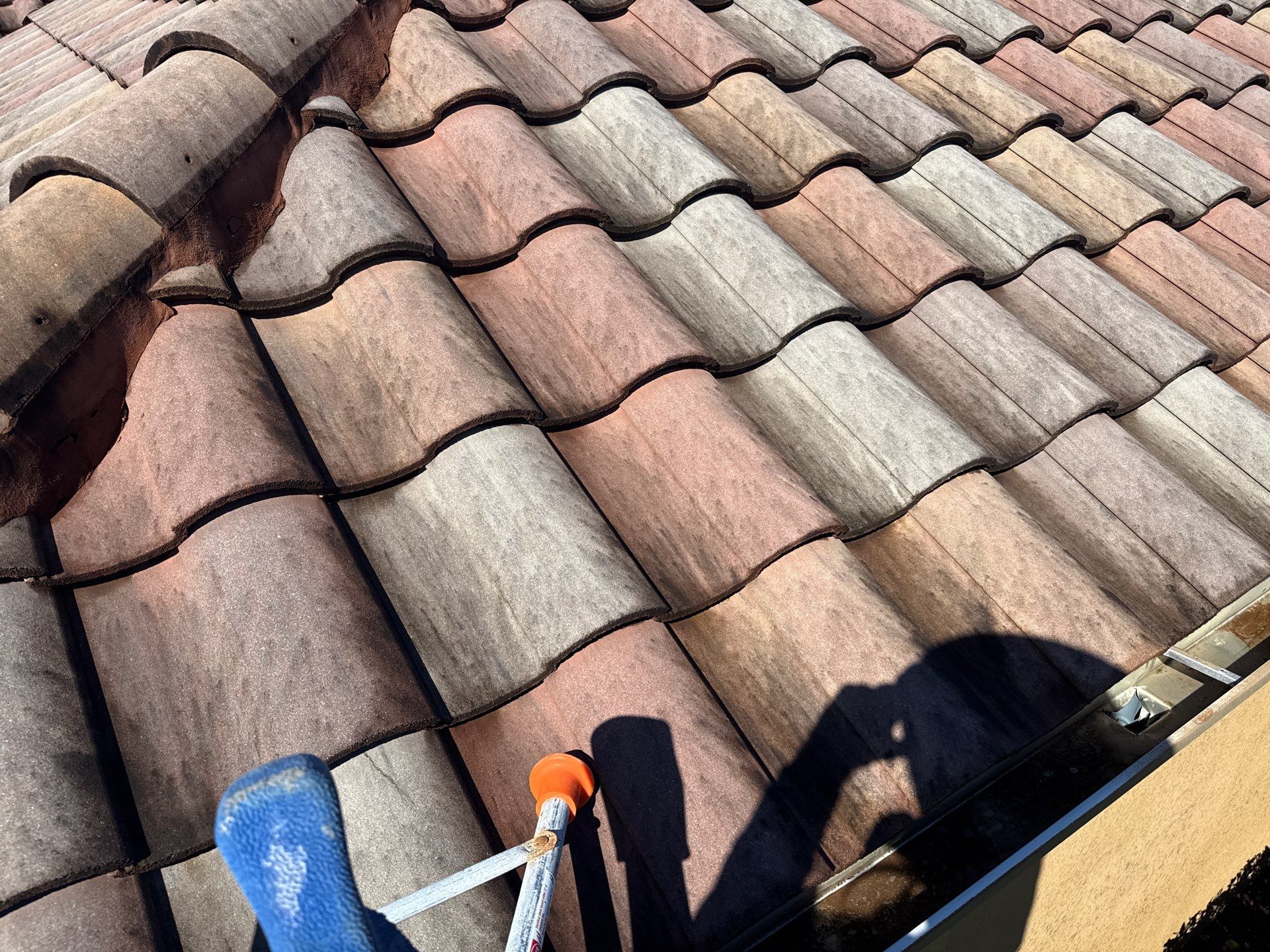 This project focused on a full gutter clean-out to restore proper water flow and prevent overflow issues.  Our scope of work included: 	•	Removing heavy leaf and pollen buildup from the gutter system 	•	Clearing out clogged sections along the rear gutters near the pool cage, where debris tends to accumulate more heavily 	•	Inspecting and cleaning the front gutter guards, which had several blocked areas restricting water flow 	•	Ensuring all downspouts and channels were flowing properly after service  Even with gutter guards installed, debris like pollen, shingle grit, and fine organic matter can still build up over time—especially in Florida’s environment. Regular maintenance helps prevent water damage, overflow, and staining on exterior surfaces.  Another thorough job completed by Sunshine AquaWash® – keeping homes protected from top to bottom. by Sunshine AquaWash