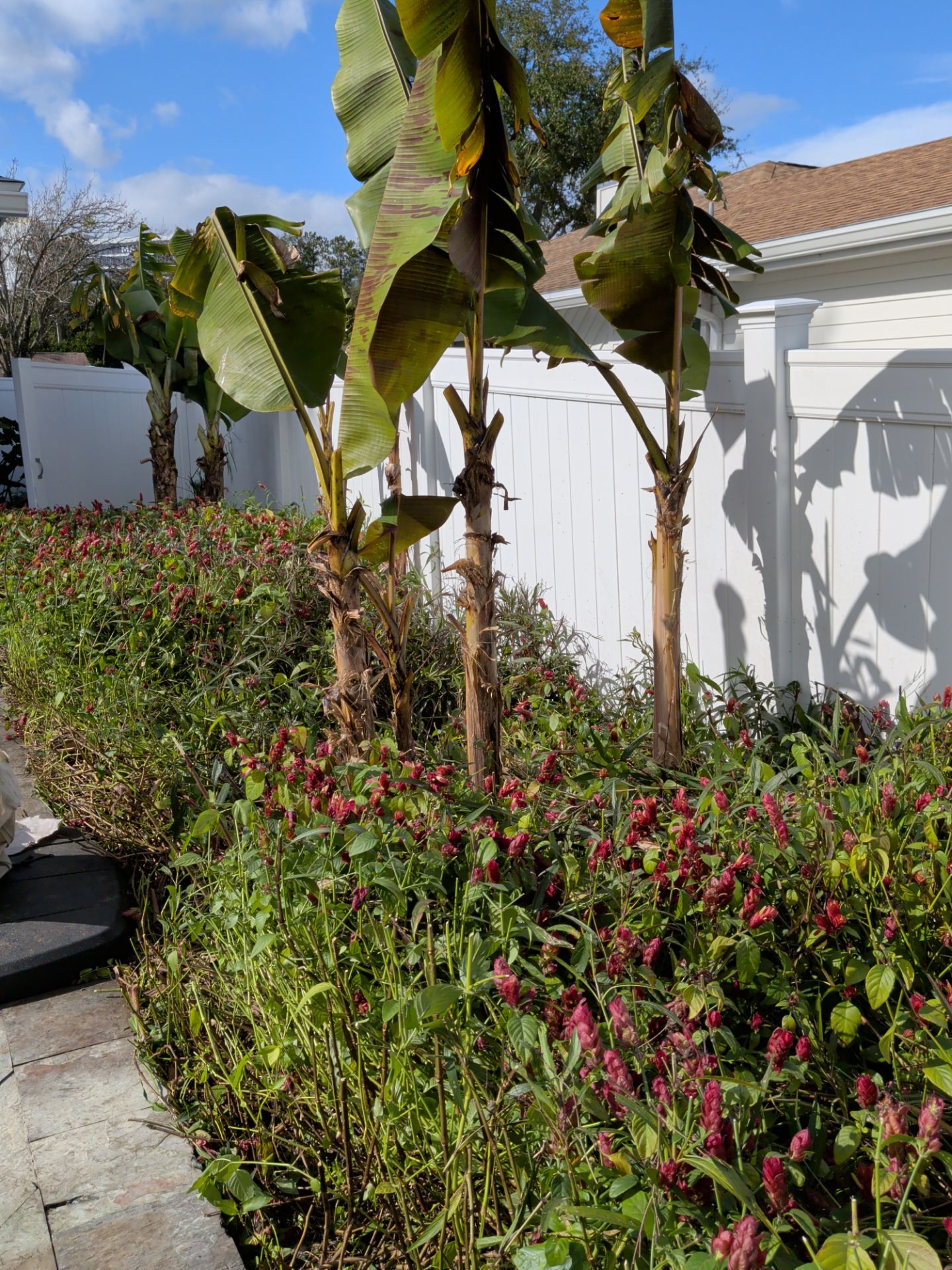 Flower Bed & Property Cleanup San Pablo area — Jacksonville Beaches, FL by Harmoni Home Services