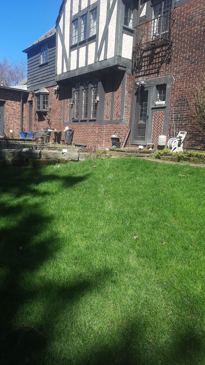 Tree Removal using Tree Removal by Mike Jones & Sons Tree Service LLC 