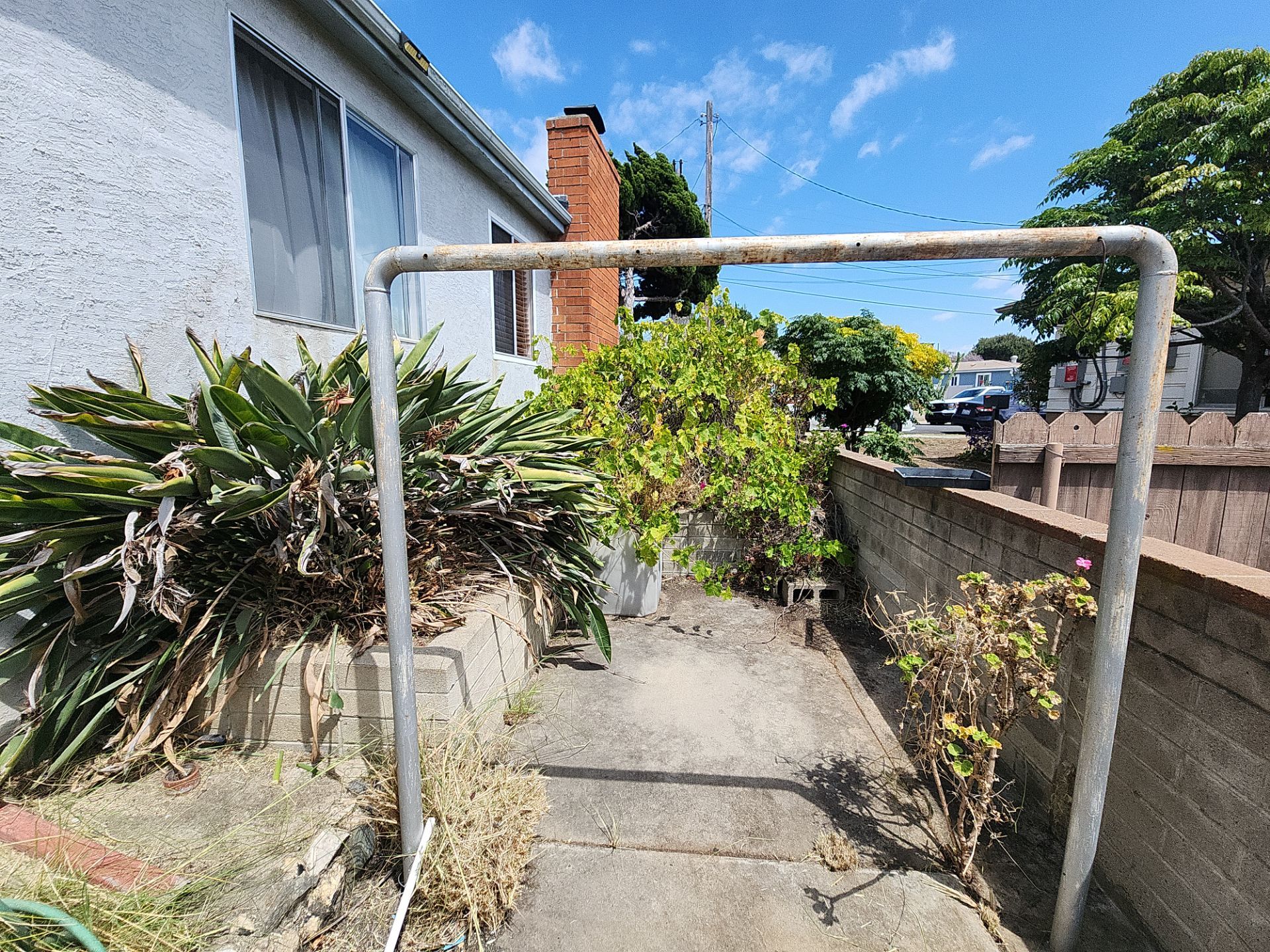 Residential Site Clearing and Landscape Clean Up in San Diego by Yard Techs