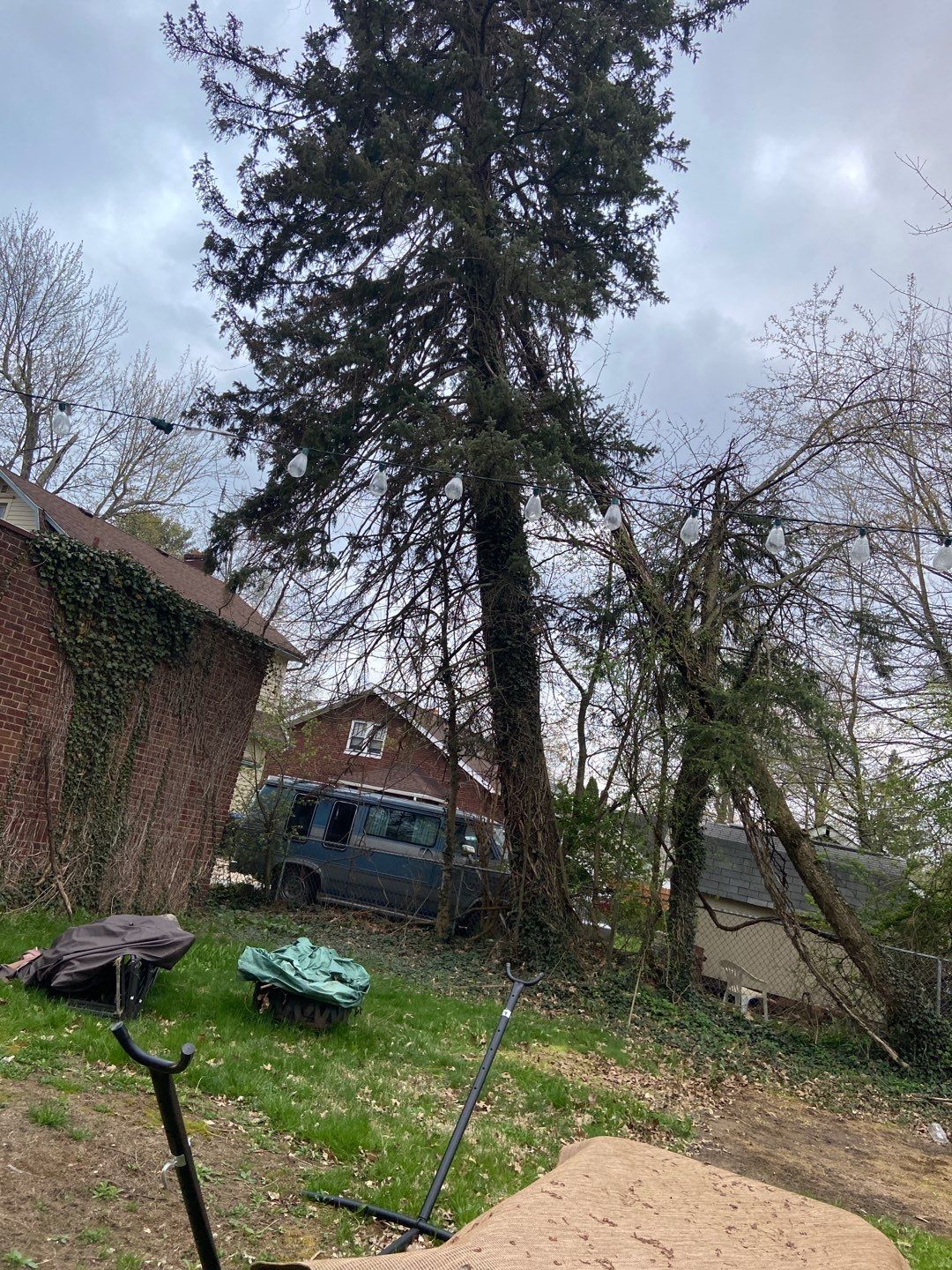 Tree Removal using Tree Removal by Mike Jones & Sons Tree Service LLC 