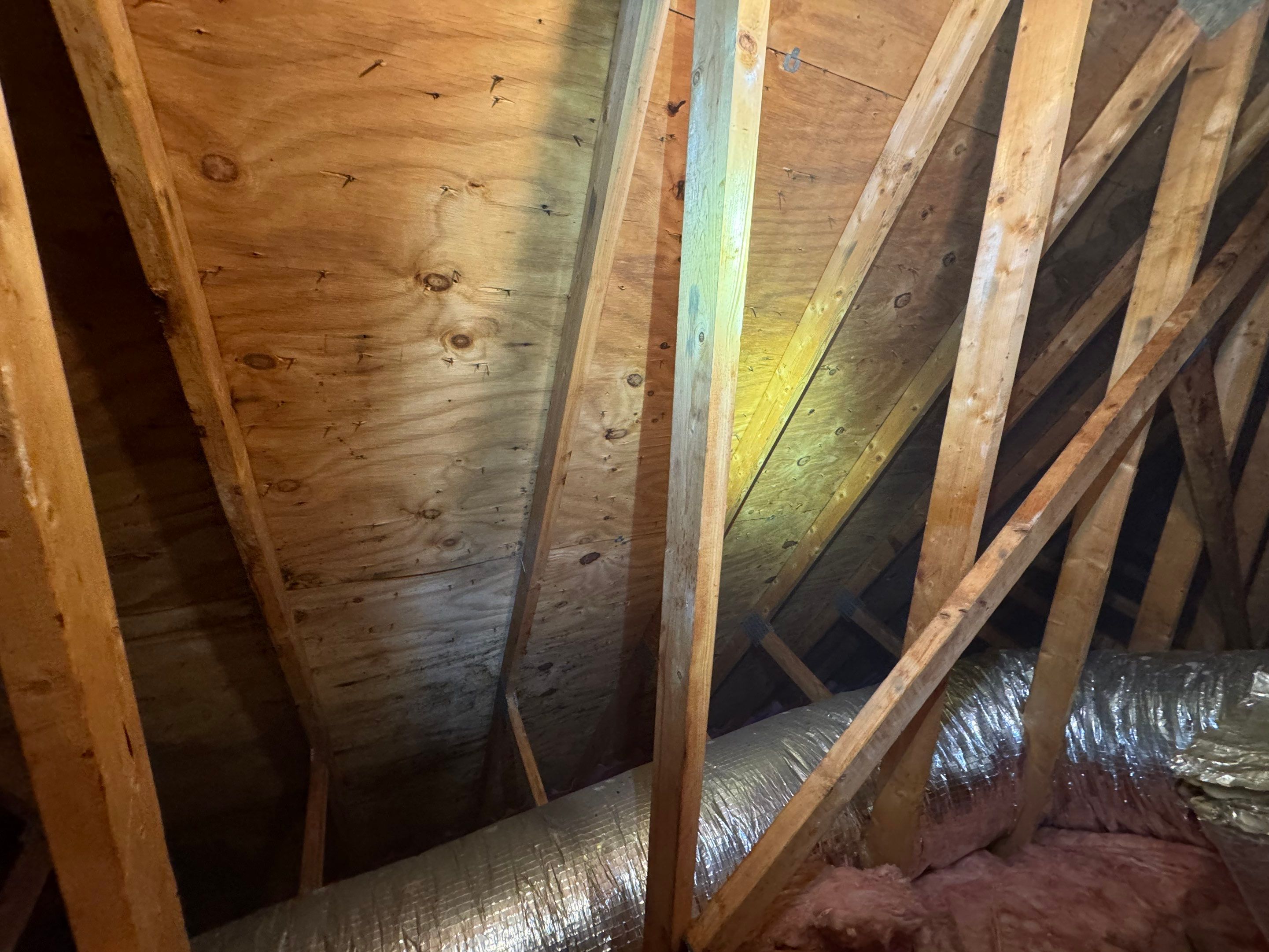 Attic Mold Remediation by Home Guarantee, LLC