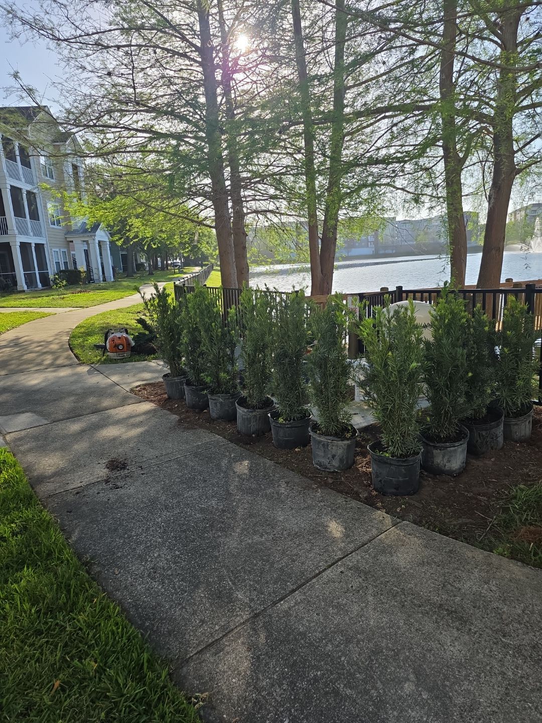 Residential Community | Shrub Installation by ProGreen Services