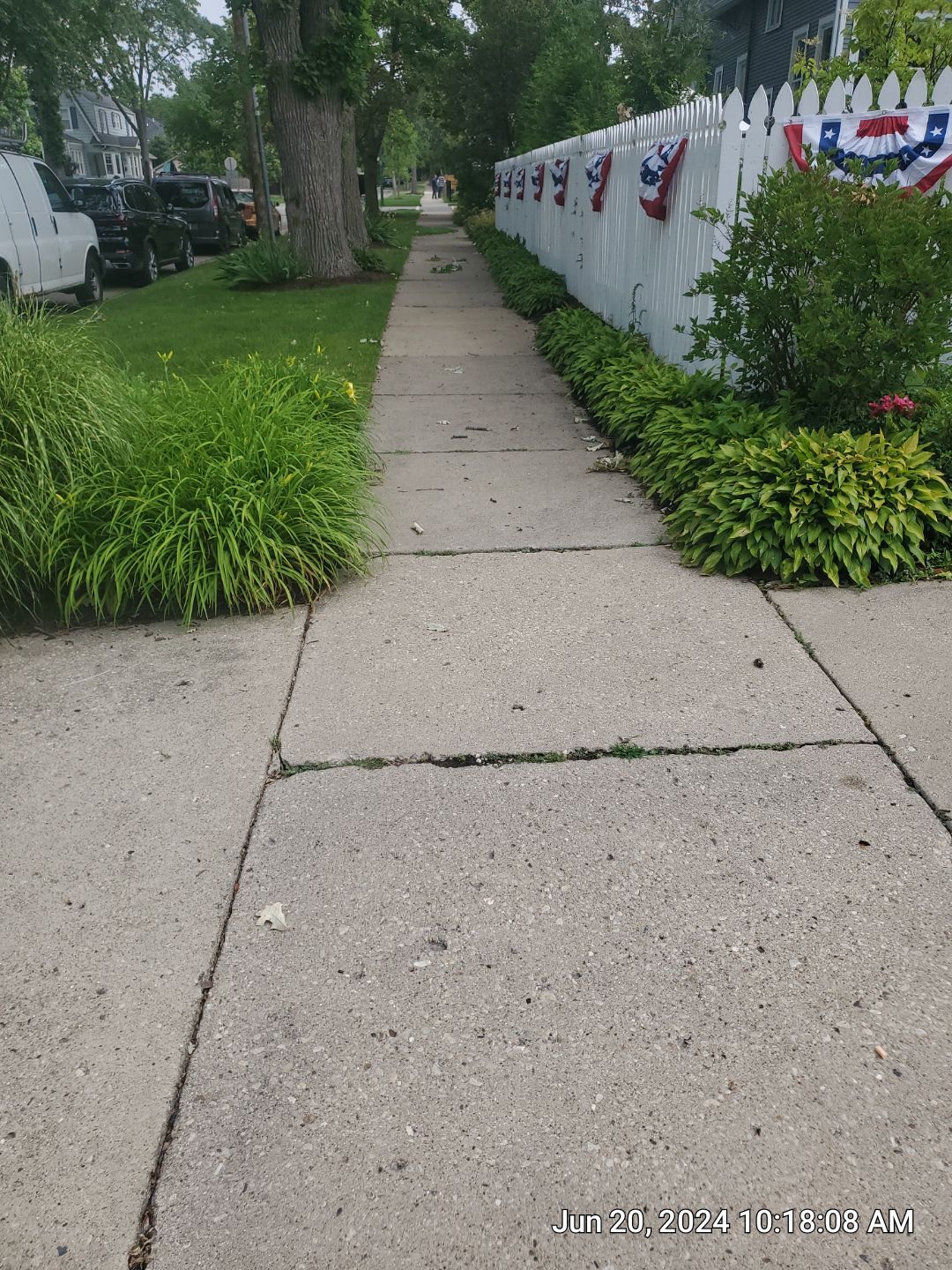 concrete cleaning using Algaecide, soft wash soap by Northern Power Washing LLC.