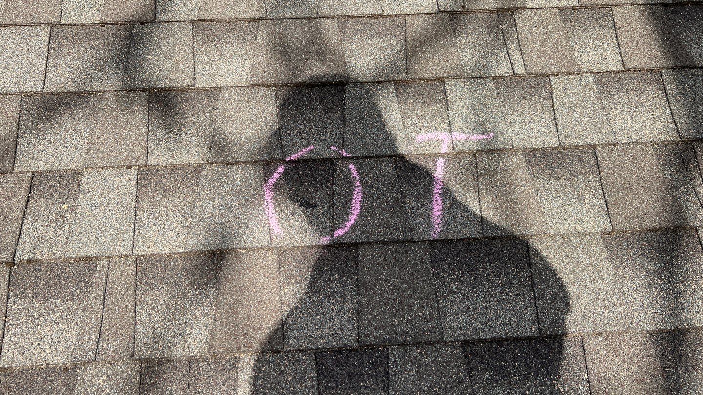 Winter storm 2023 with tree damage by Oakwood Roofing and Construction, LLC