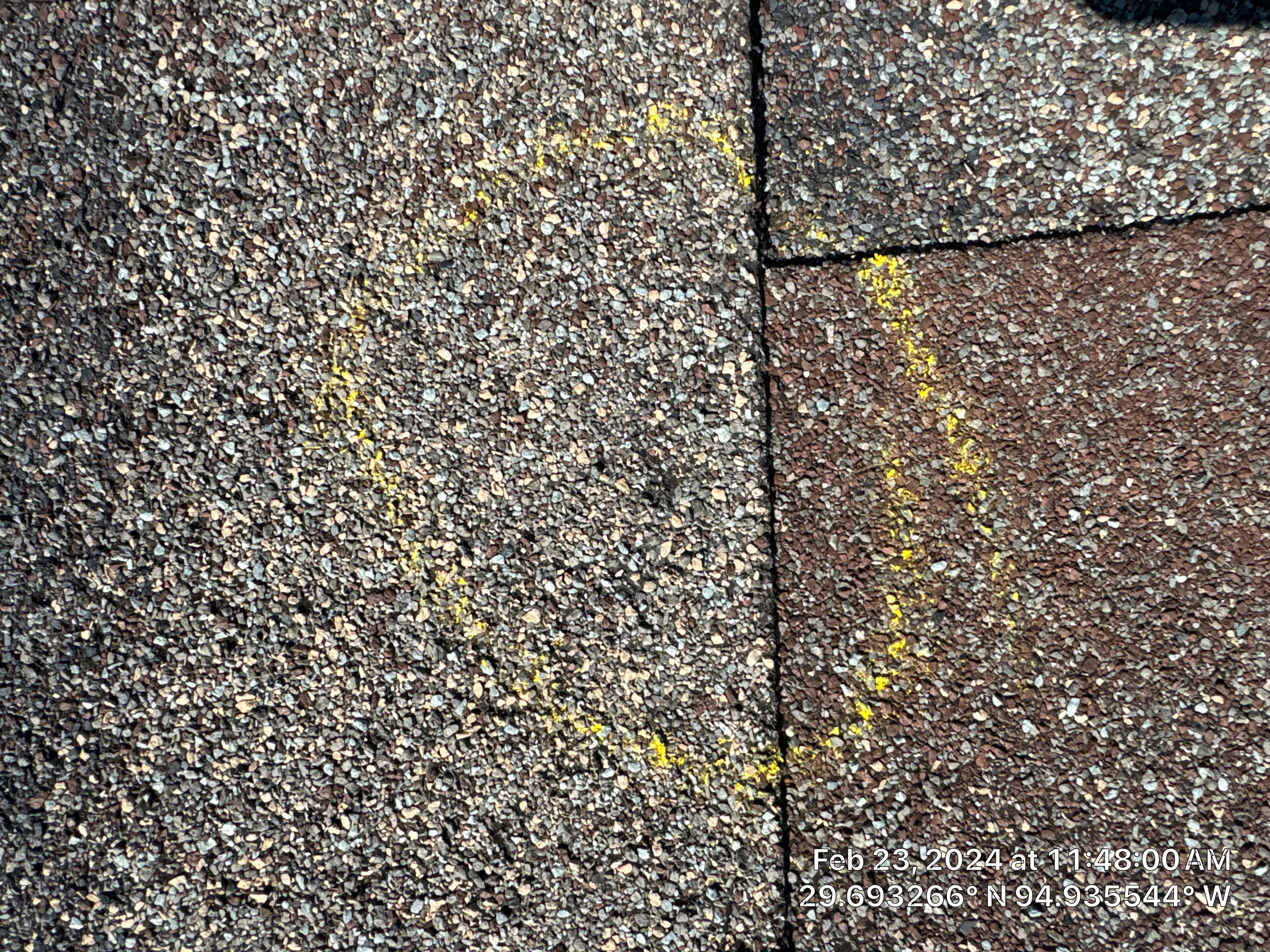 Hail Damage by Southern Belle